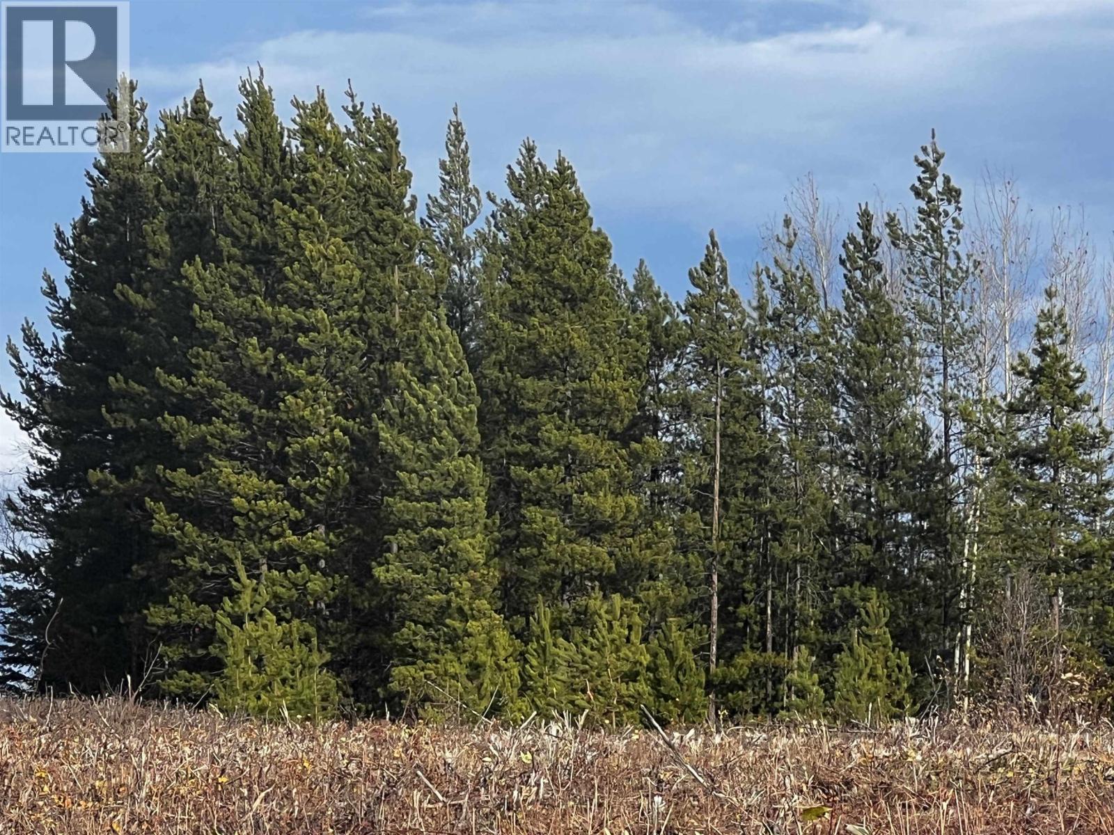 Hart Highway, Prince George, British Columbia  V2K 5W1 - Photo 39 - R3062894