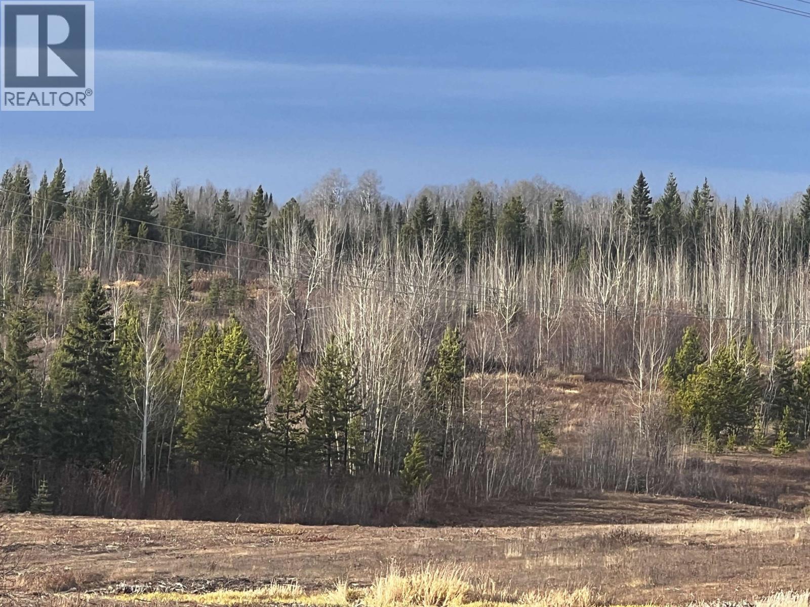 Hart Highway, Prince George, British Columbia  V2K 5W1 - Photo 33 - R3062894