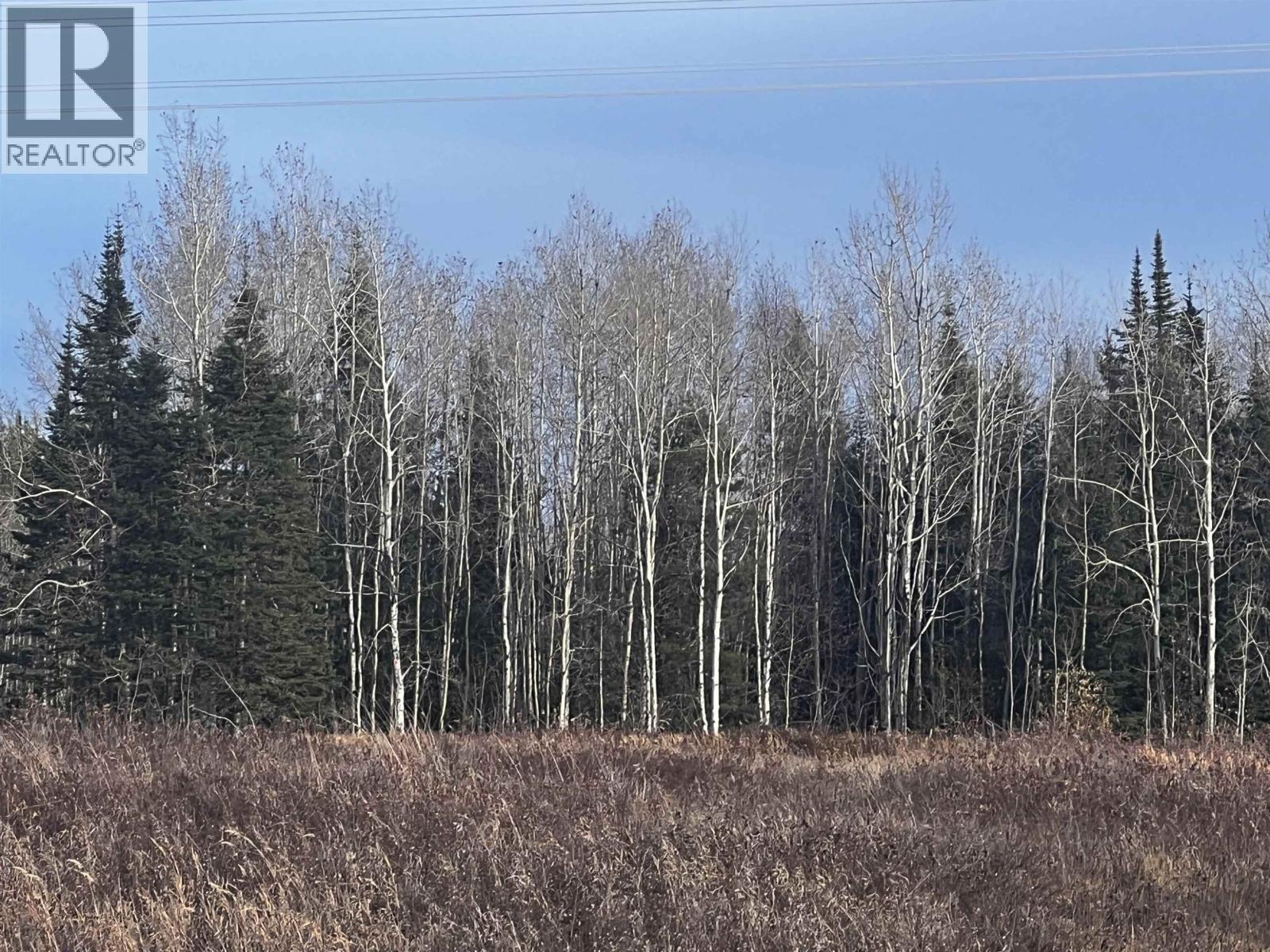 Hart Highway, Prince George, British Columbia  V2K 5W1 - Photo 15 - R3062894