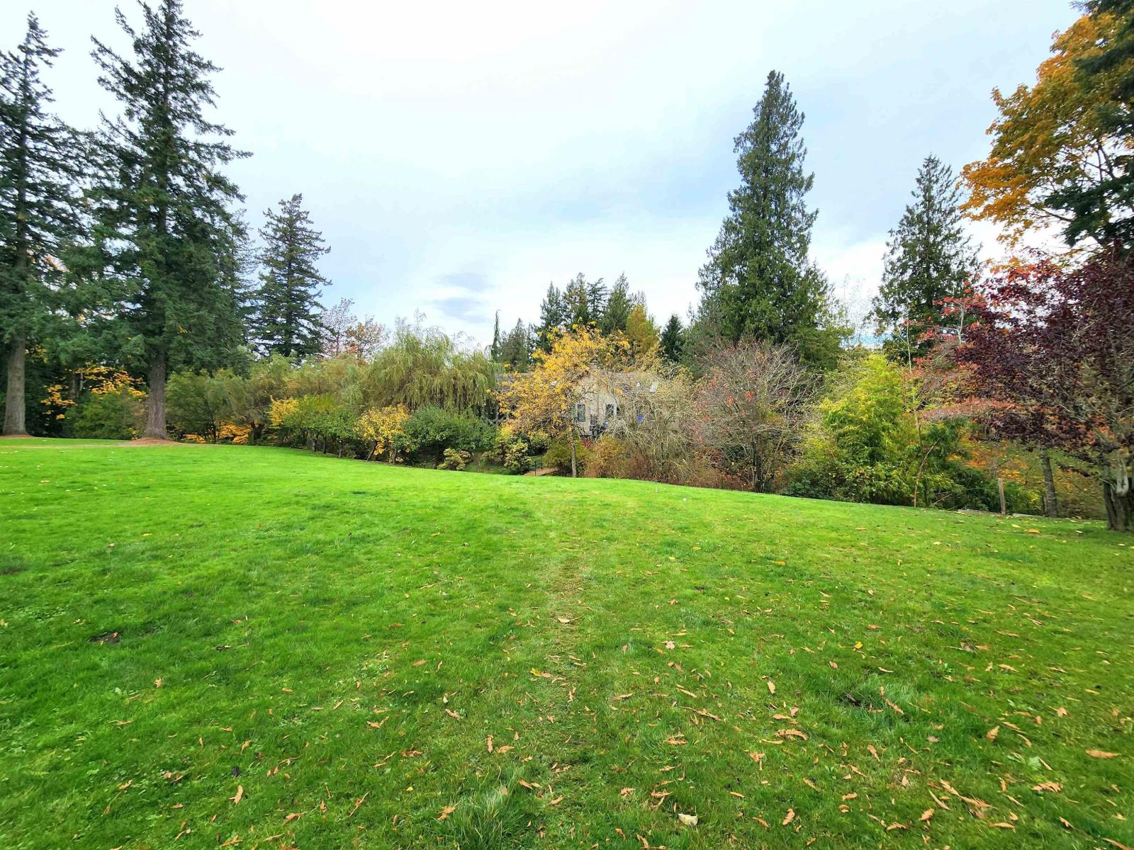 3130 248 Street, Langley, British Columbia  V3A 1Z1 - Photo 40 - R3062988