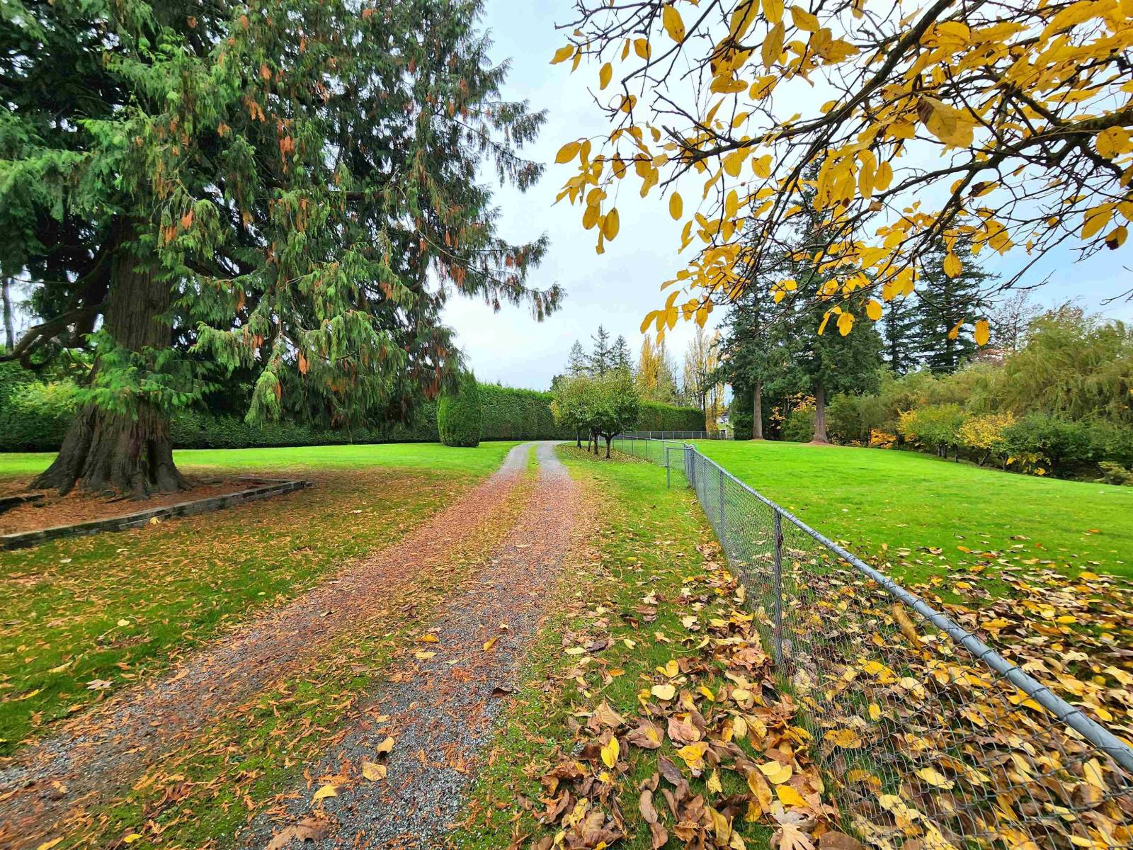 3130 248 Street, Langley, British Columbia  V3A 1Z1 - Photo 39 - R3062988