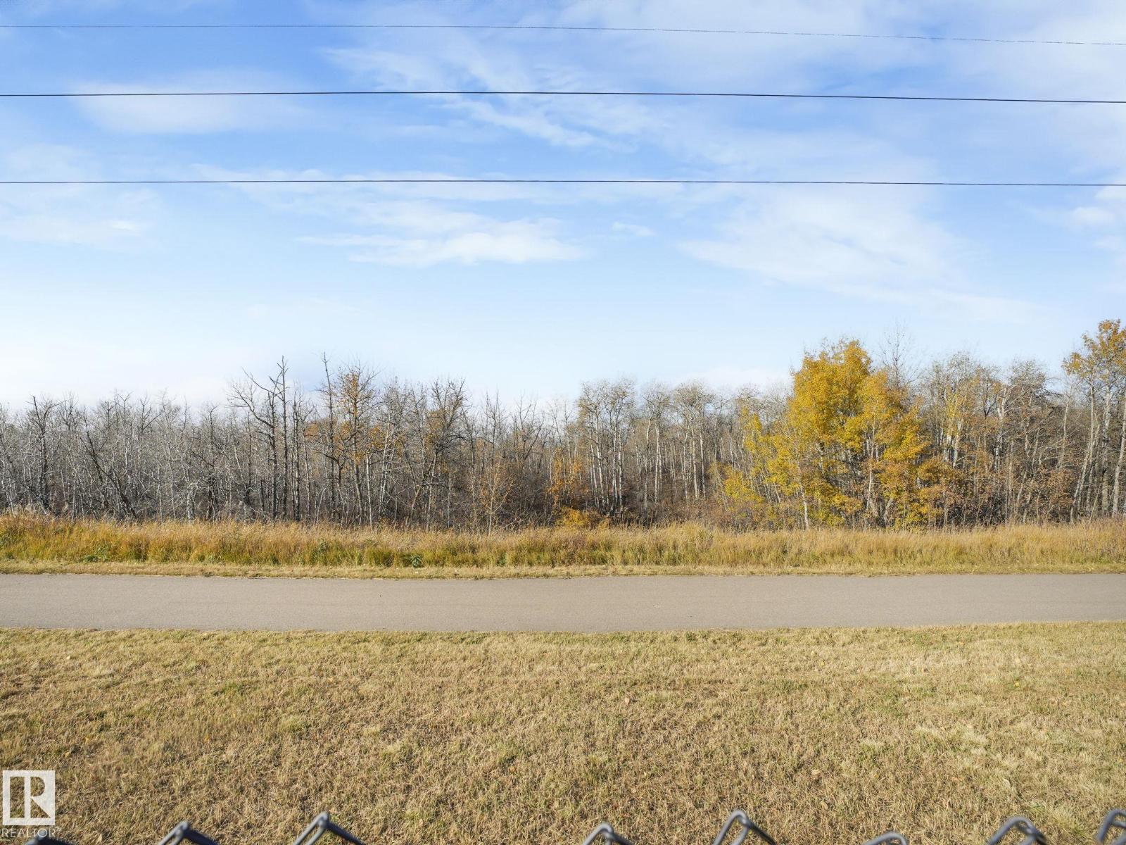 3881 Robins Cr Nw, Edmonton, Alberta  T5S 0M8 - Photo 26 - E4463919