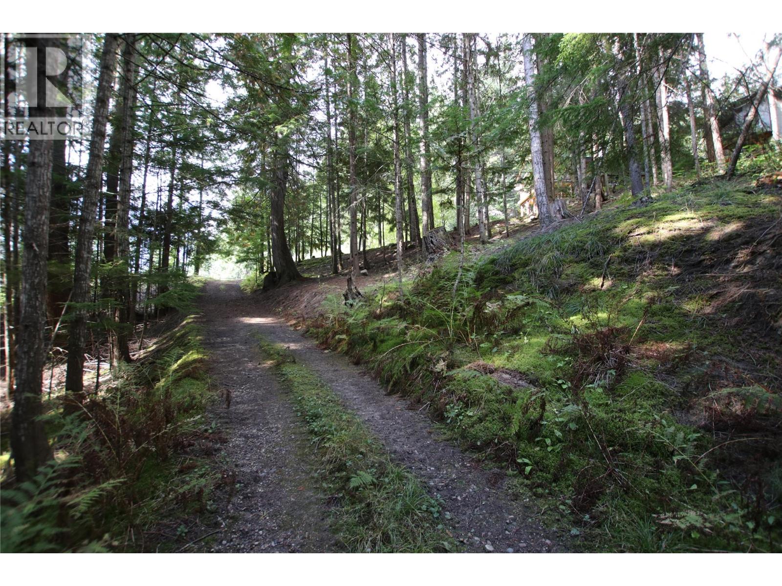 4512 Highway 6, Burton, British Columbia  V0G 1R1 - Photo 32 - 10364730