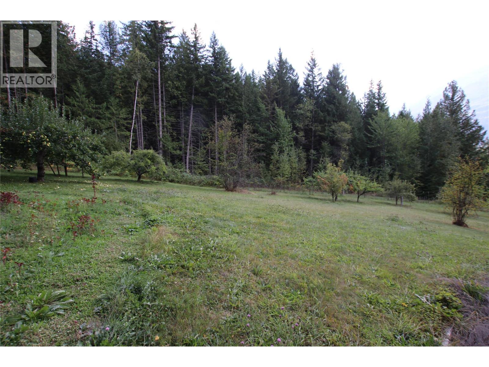 4512 Highway 6, Burton, British Columbia  V0G 1R1 - Photo 28 - 10364730