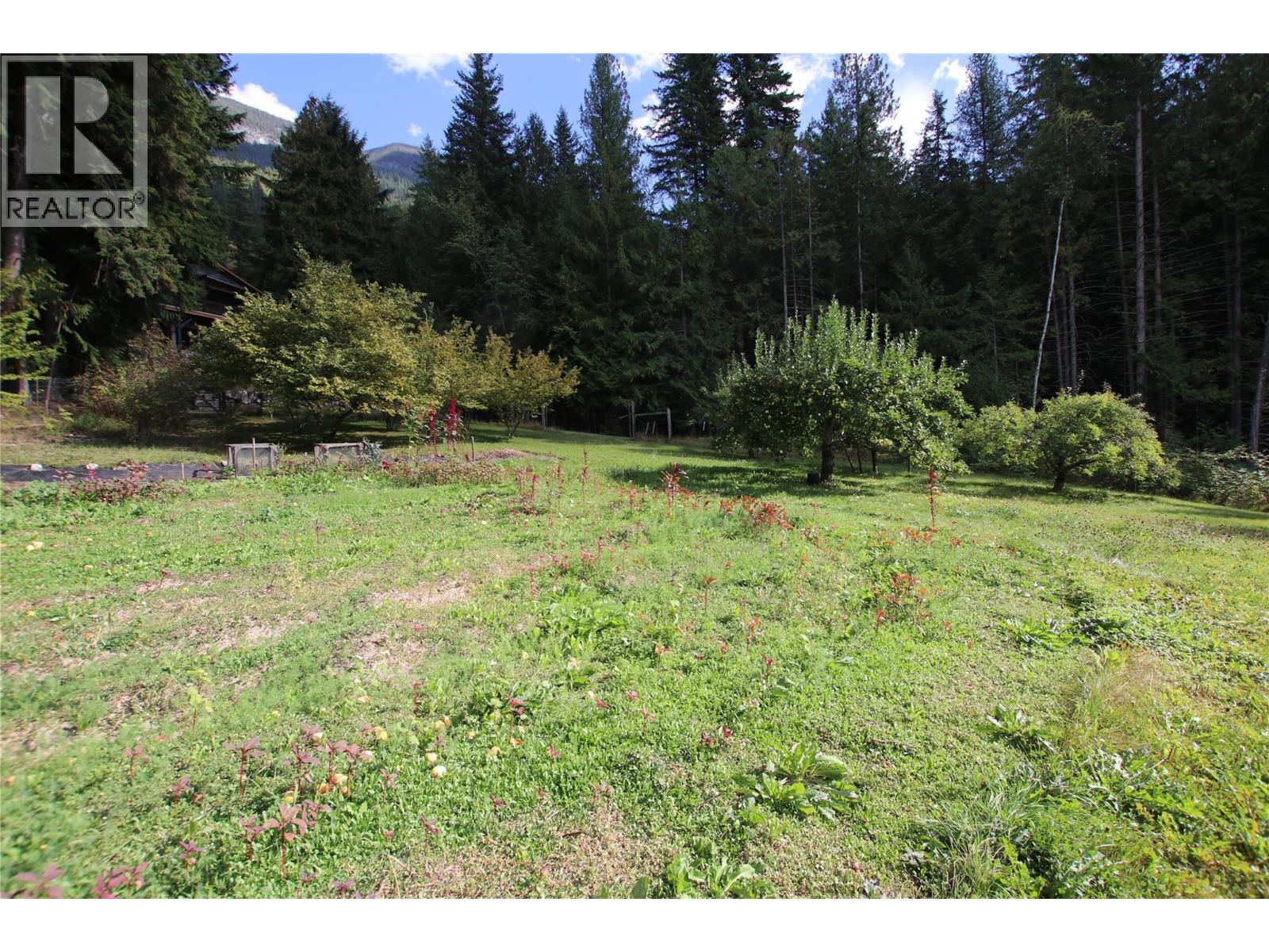 4512 Highway 6, Burton, British Columbia  V0G 1R1 - Photo 29 - 10364730