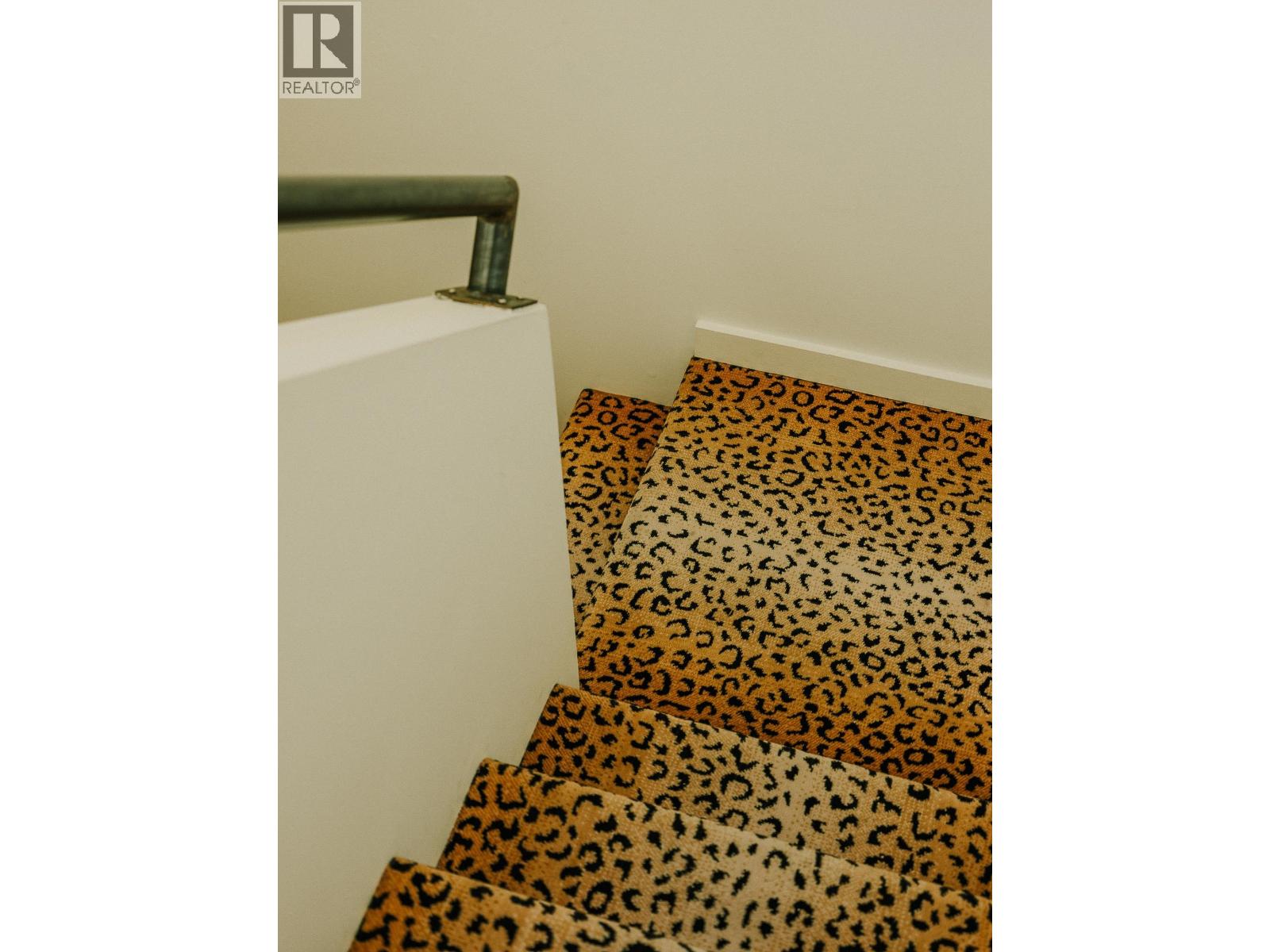 279 E 26th Avenue, Vancouver, British Columbia  V5V 2H2 - Photo 30 - R3050655