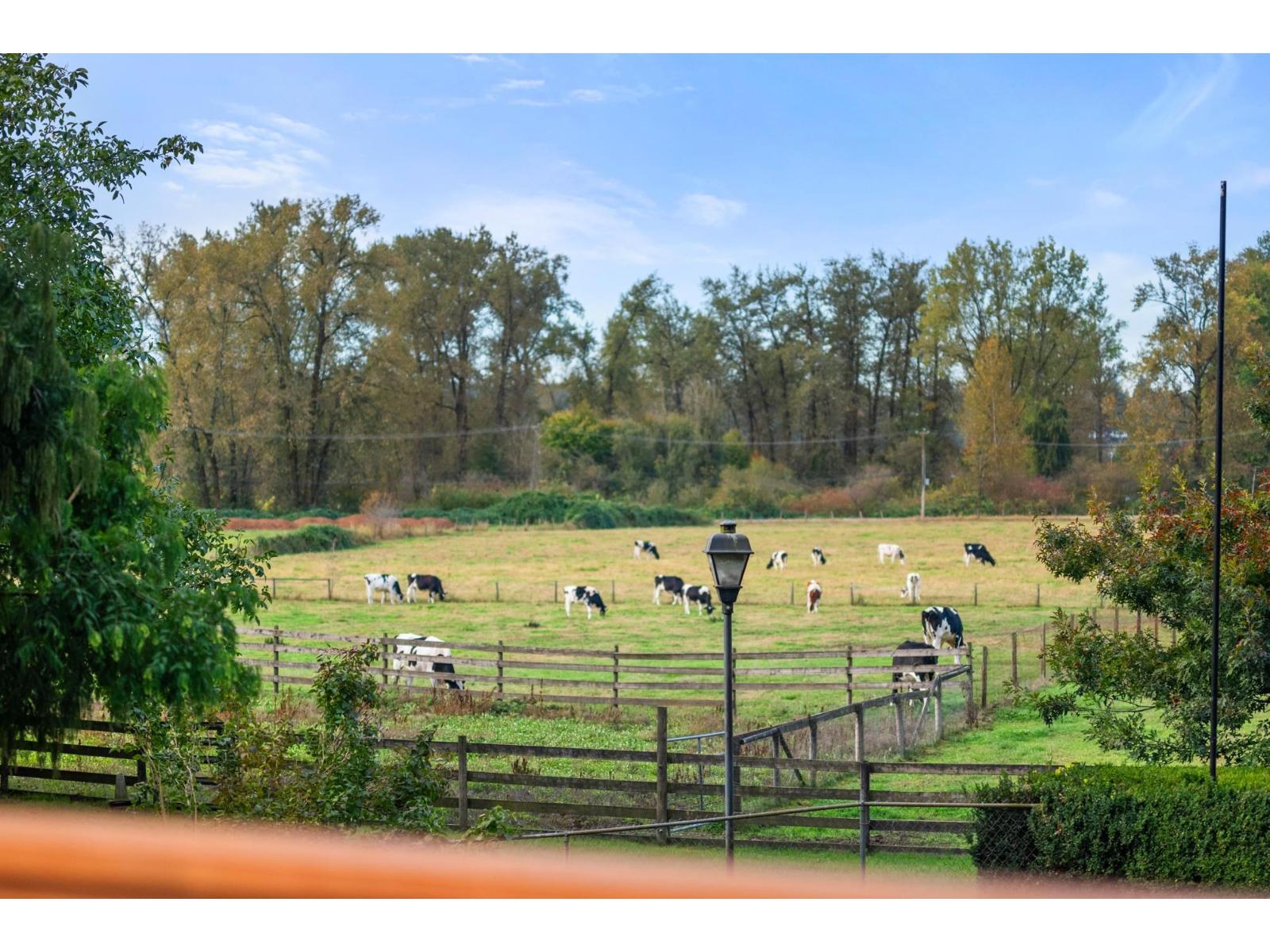 27382 84 Avenue, Langley, British Columbia  V1M 3L4 - Photo 34 - R3062534