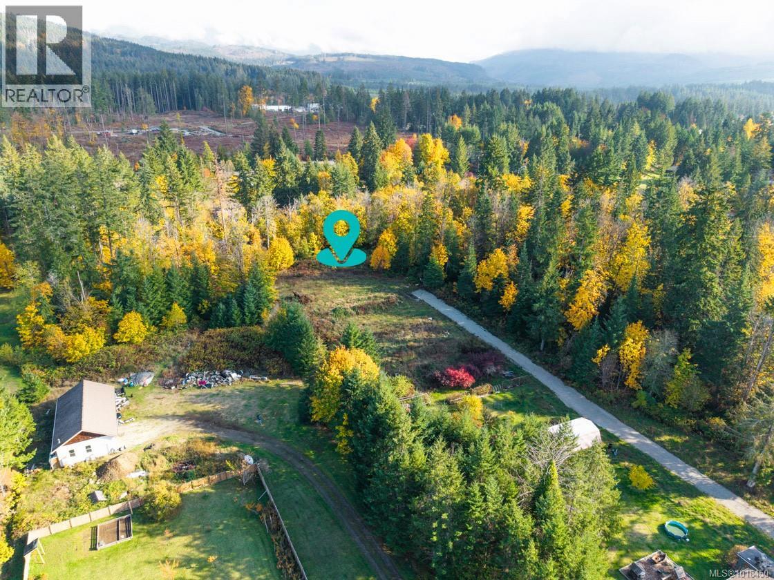 Lot 3 Maebelle Rd, Port Alberni, British Columbia  V9Y 8R2 - Photo 3 - 1018450
