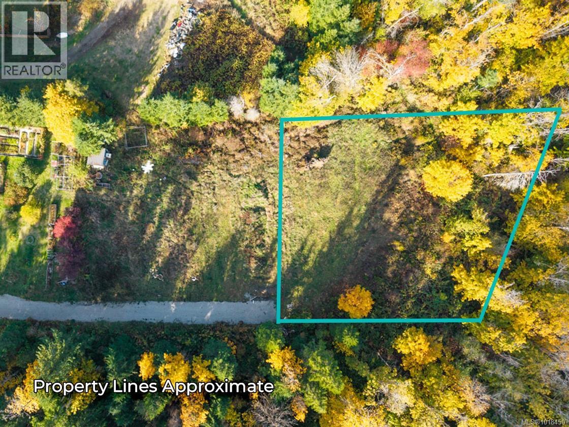 Lot 3 Maebelle Rd, Port Alberni, British Columbia  V9Y 8R2 - Photo 5 - 1018450