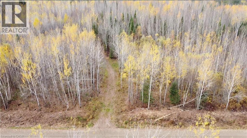 Pt Lt 11 Concession 6th Road, Mattawa, Ontario  P0H 1V0 - Photo 5 - 40780843