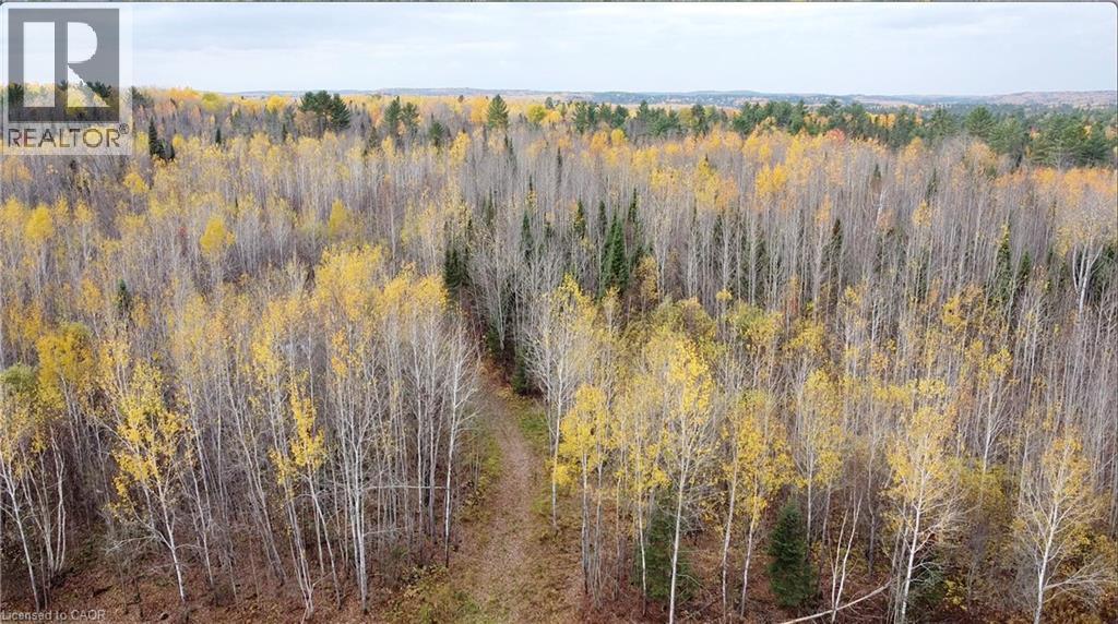 Pt Lt 11 Concession 6th Road, Mattawa, Ontario  P0H 1V0 - Photo 6 - 40780843