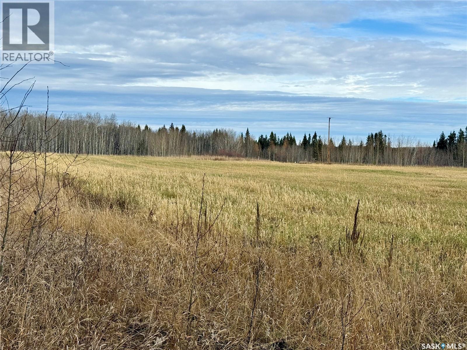 20264 Hwy 3 Acreage, Spiritwood Rm No. 496, Saskatchewan  S0J 2M0 - Photo 43 - SK021985
