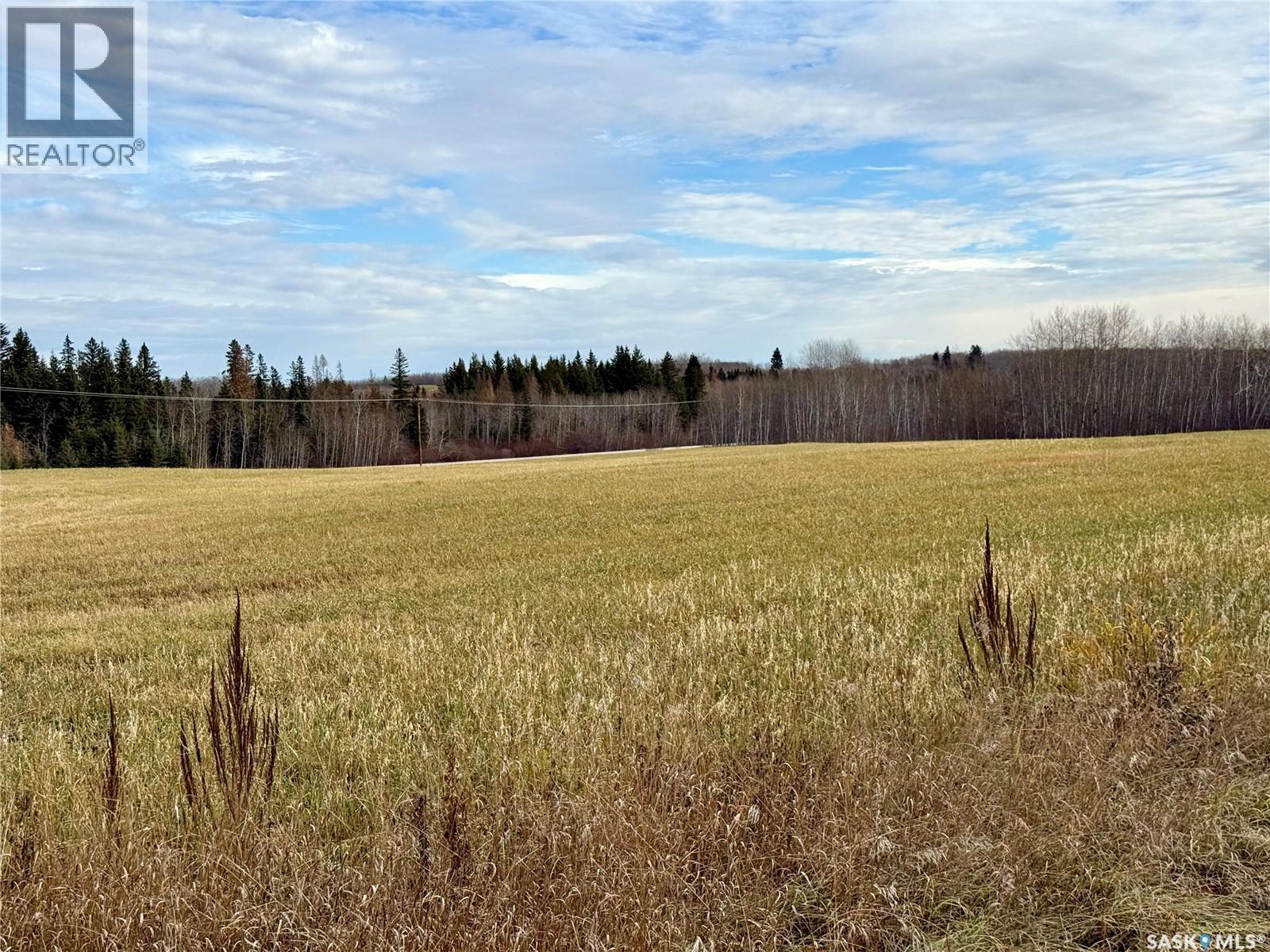 20264 Hwy 3 Acreage, Spiritwood Rm No. 496, Saskatchewan  S0J 2M0 - Photo 44 - SK021985