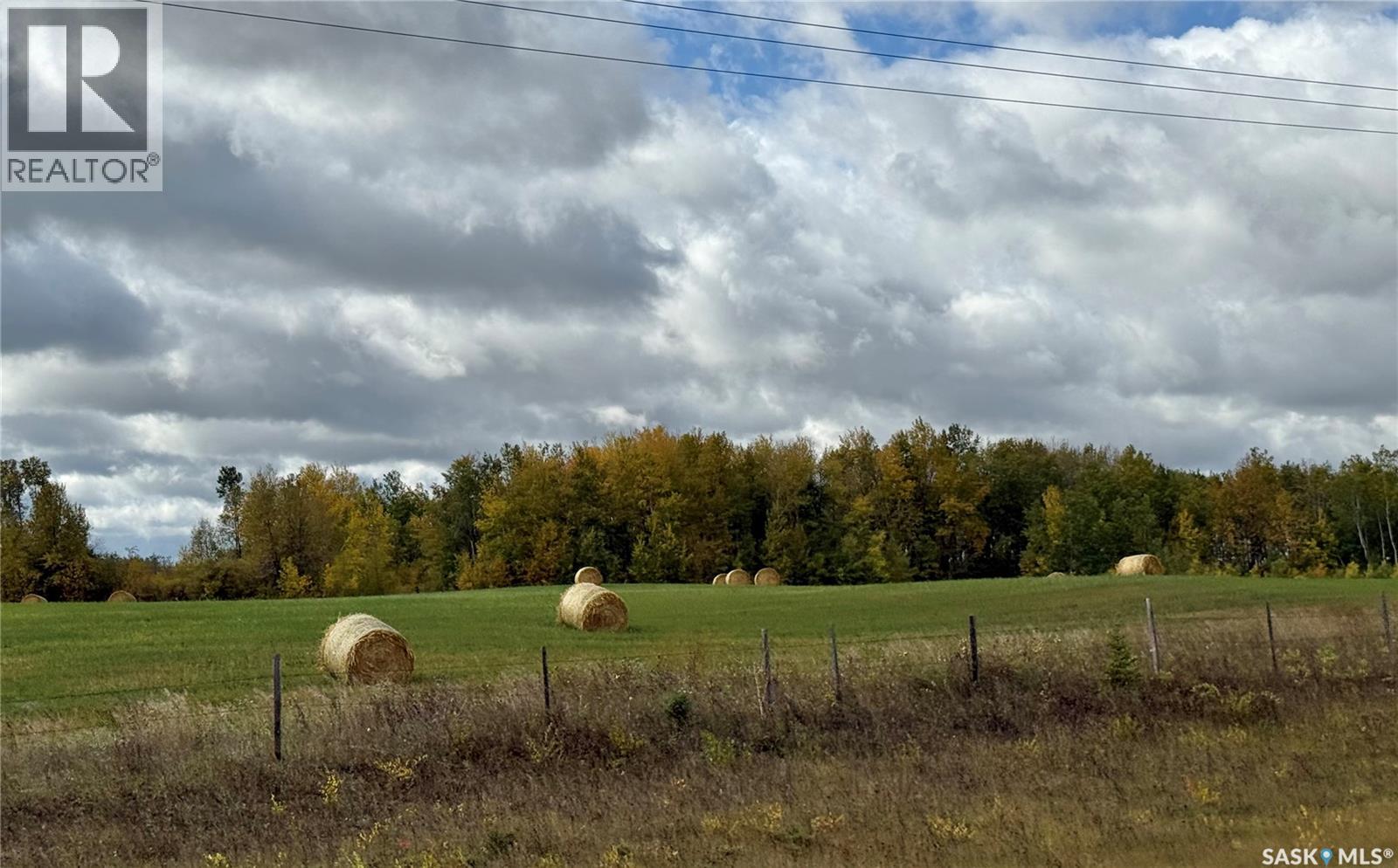 20264 Hwy 3 Acreage, Spiritwood Rm No. 496, Saskatchewan  S0J 2M0 - Photo 48 - SK021985