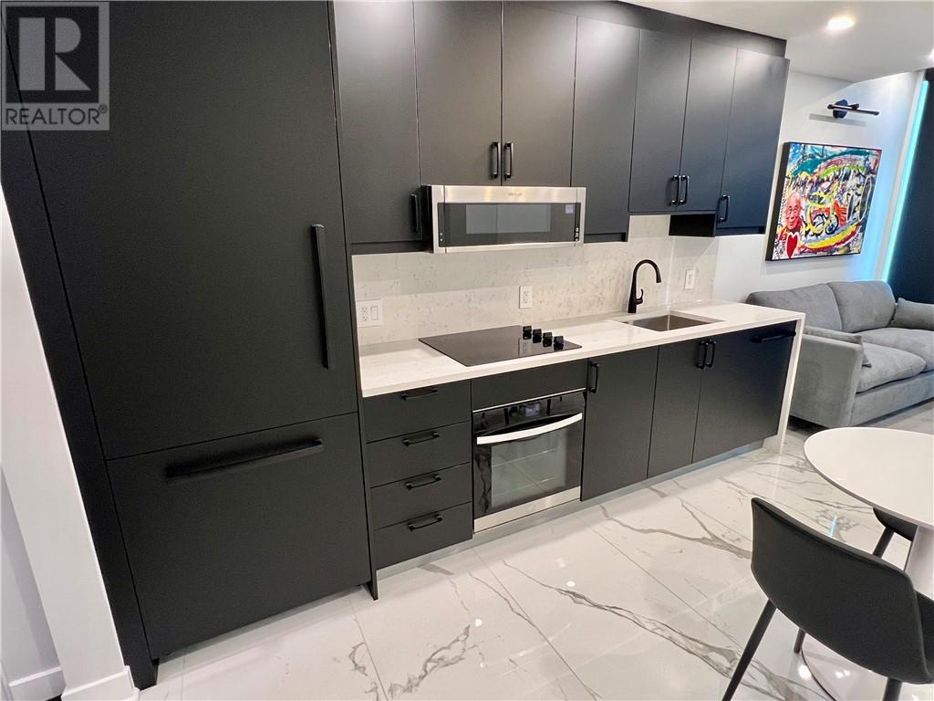 180 George Street Unit# Ph208, Ottawa, Ontario  K1N 0G8 - Photo 17 - 2125420