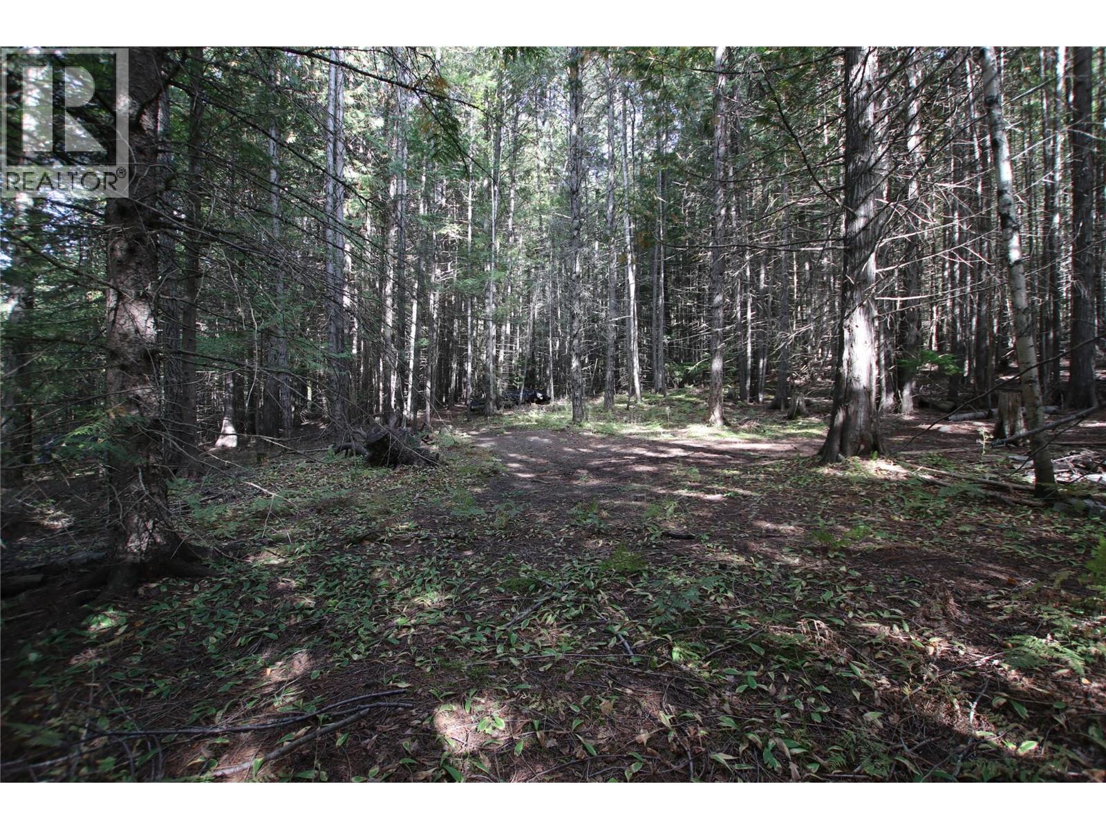 Lot 23 Highway 6, Burton, British Columbia  V0G 1R1 - Photo 24 - 10364732