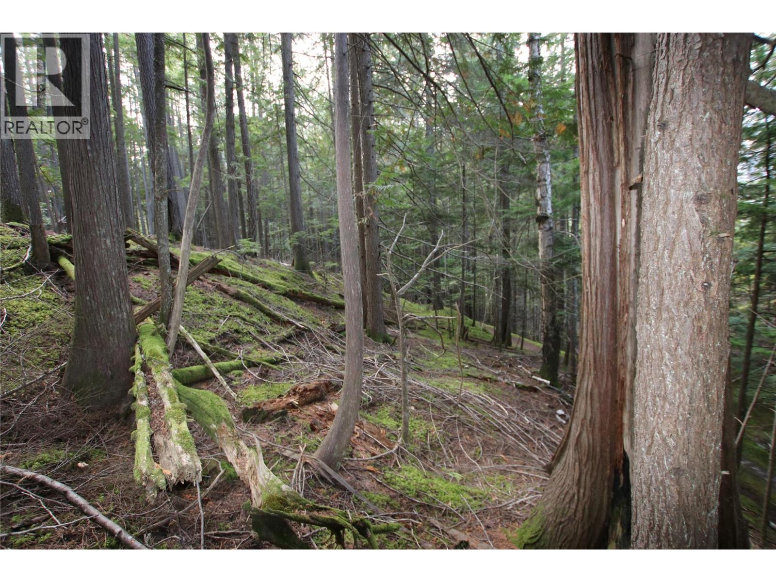 Lot 23 Highway 6, Burton, British Columbia  V0G 1R1 - Photo 10 - 10364732