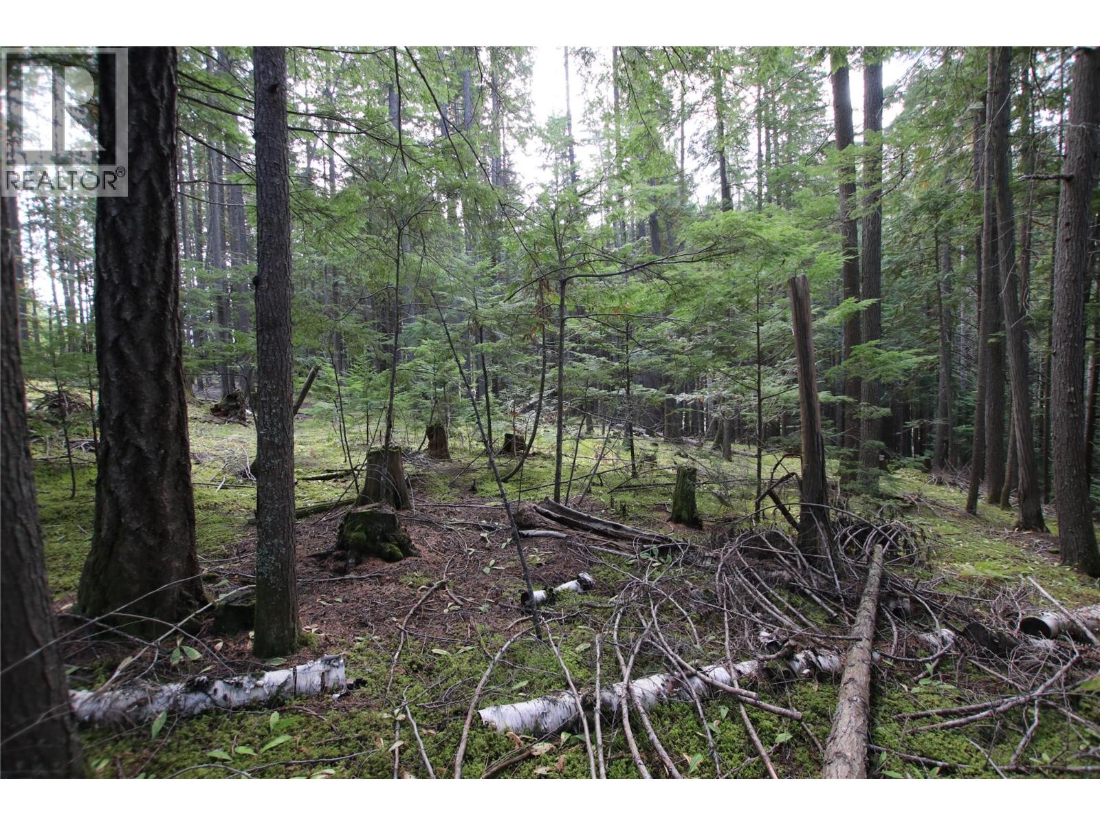 Lot 23 Highway 6, Burton, British Columbia  V0G 1R1 - Photo 13 - 10364732