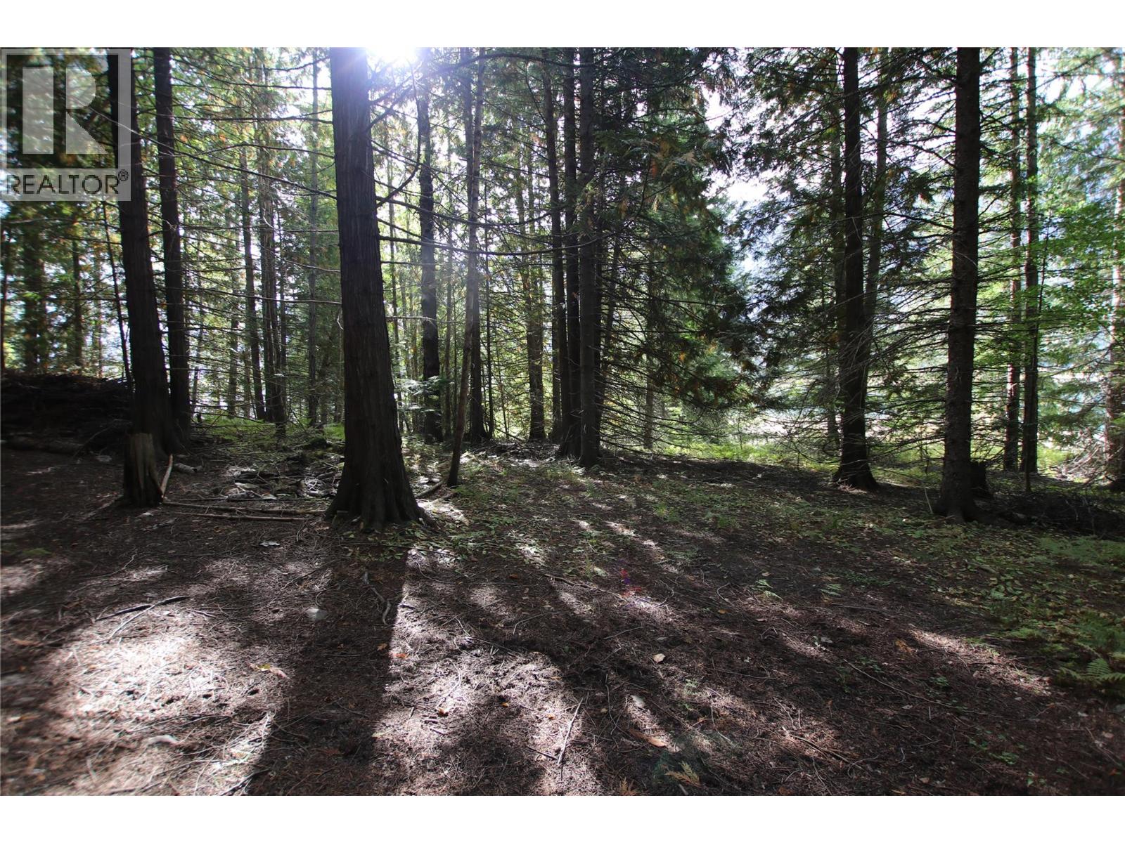 Lot 23 Highway 6, Burton, British Columbia  V0G 1R1 - Photo 23 - 10364732