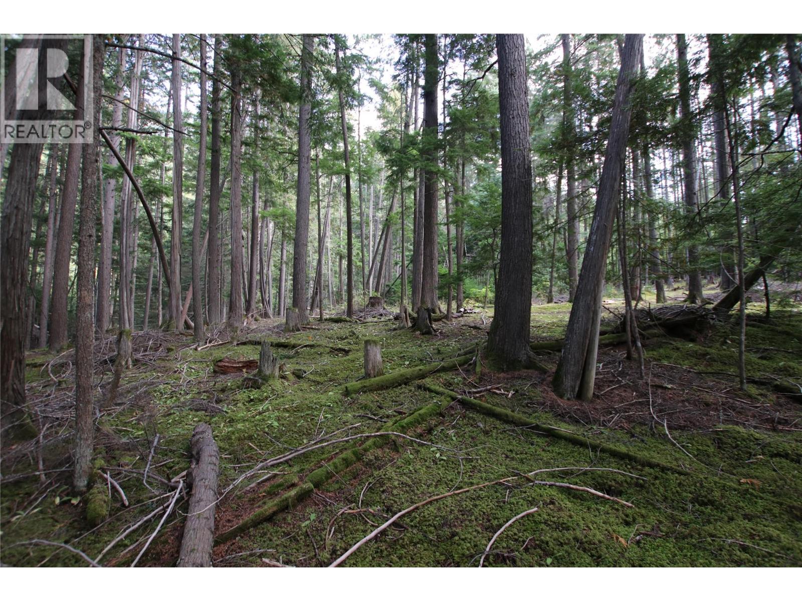 Lot 23 Highway 6, Burton, British Columbia  V0G 1R1 - Photo 11 - 10364732