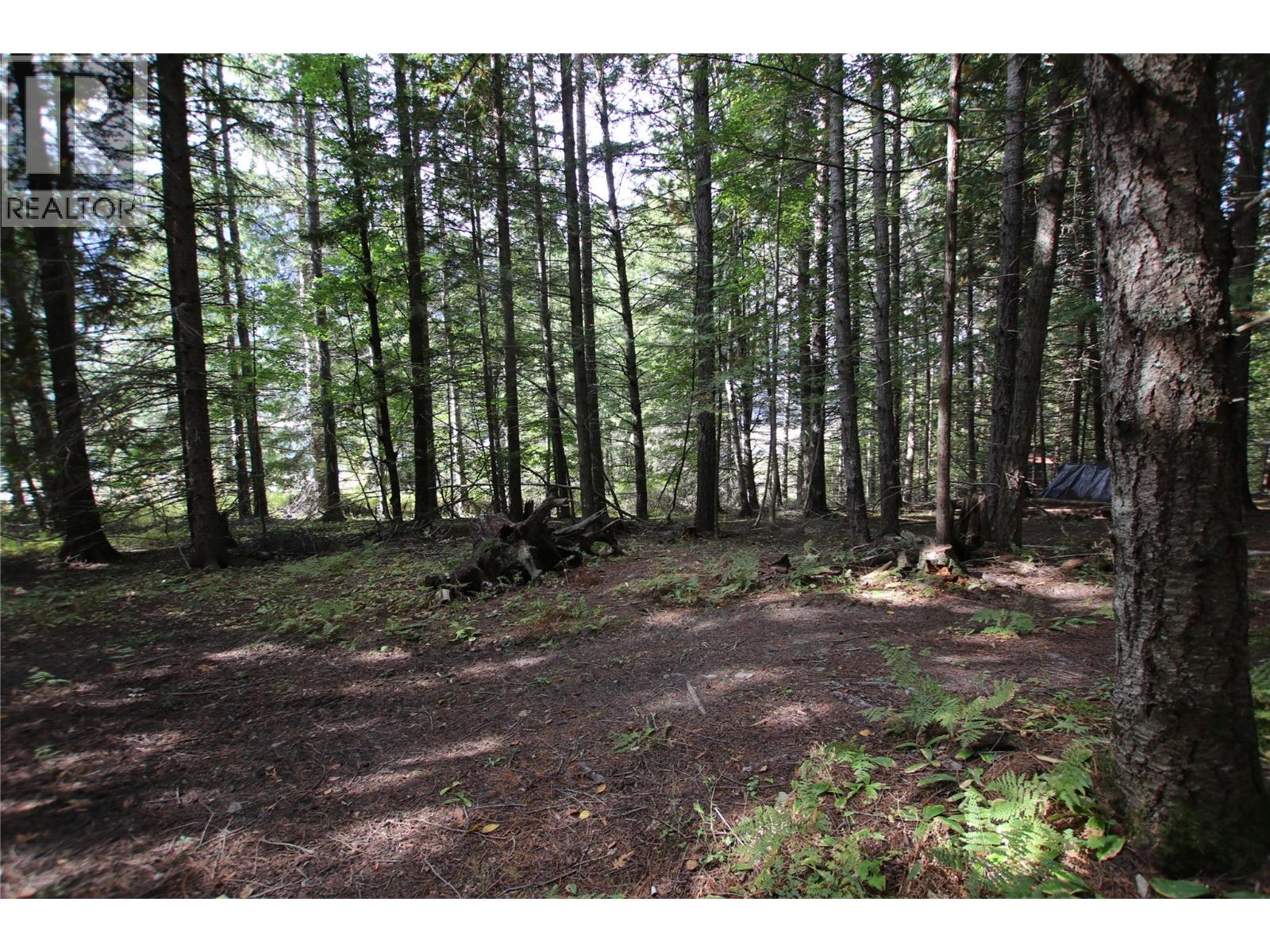 Lot 23 Highway 6, Burton, British Columbia  V0G 1R1 - Photo 22 - 10364732