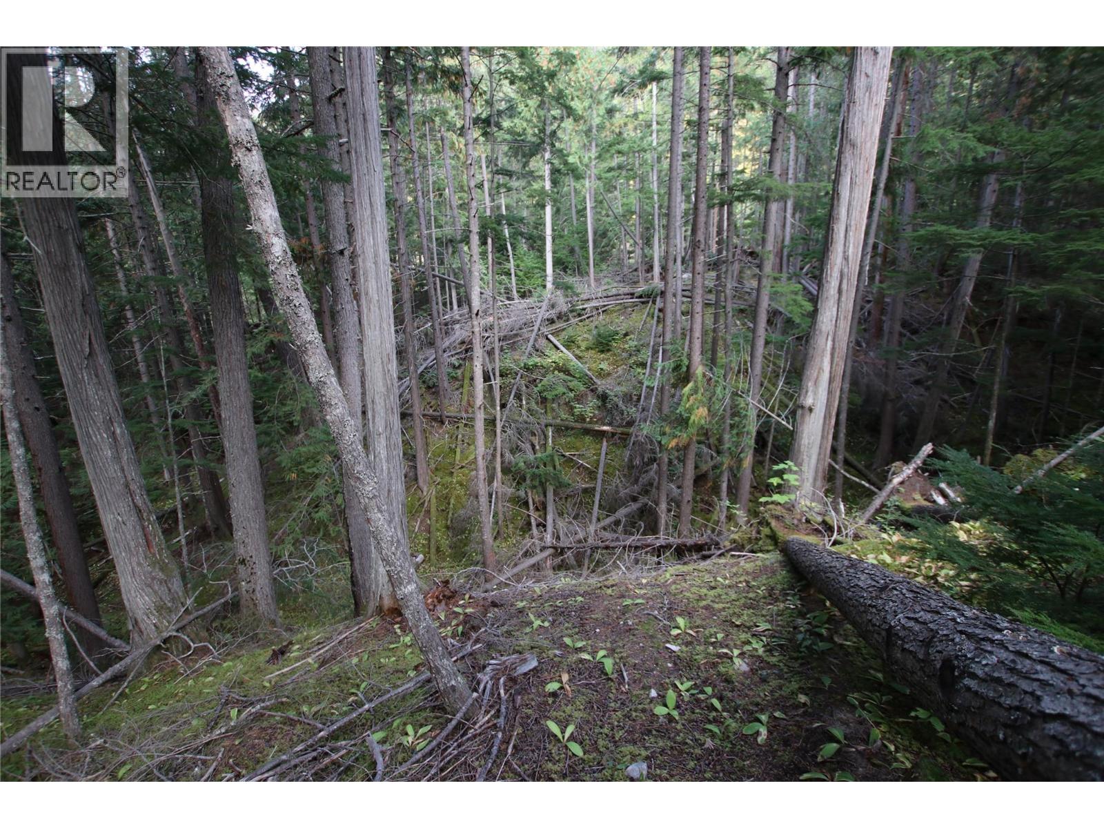 Lot 23 Highway 6, Burton, British Columbia  V0G 1R1 - Photo 17 - 10364732