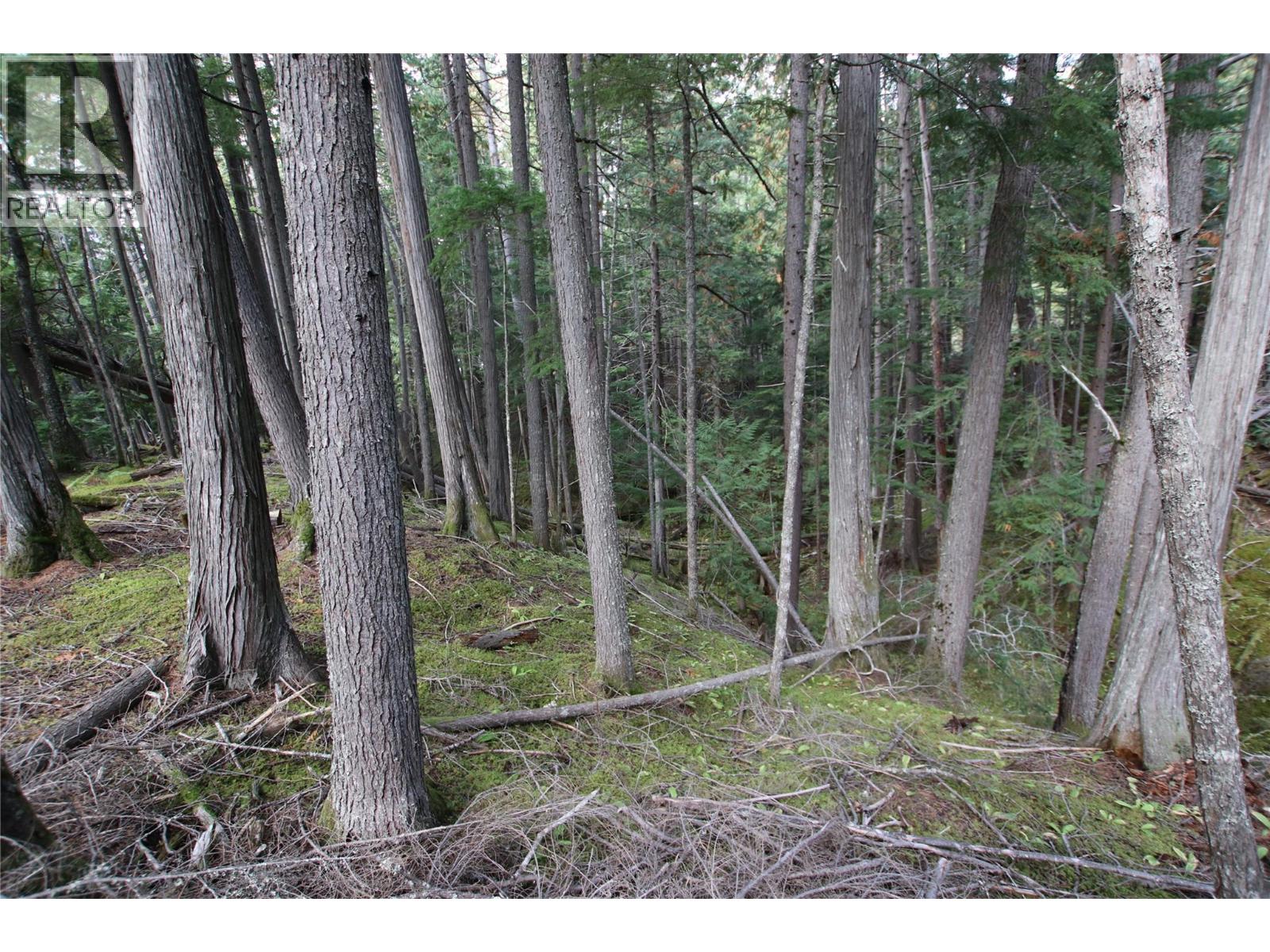 Lot 23 Highway 6, Burton, British Columbia  V0G 1R1 - Photo 18 - 10364732
