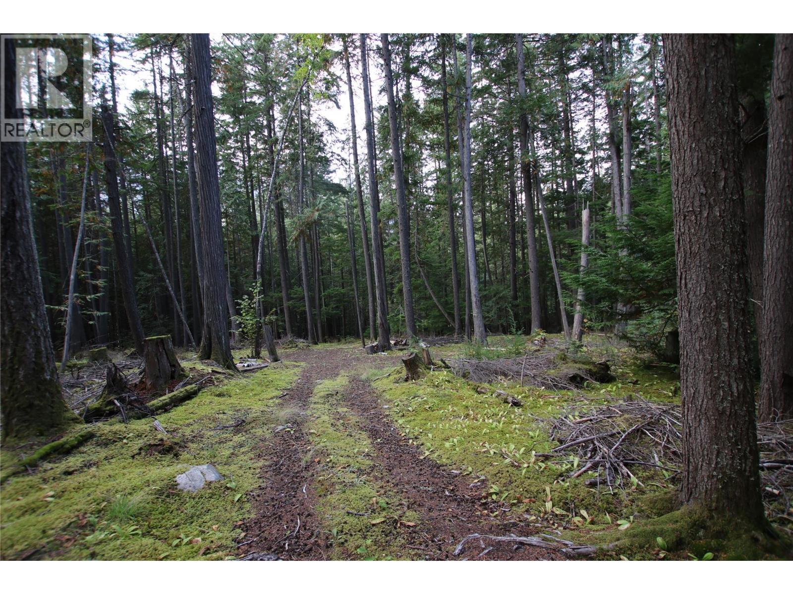 Lot 23 Highway 6, Burton, British Columbia  V0G 1R1 - Photo 3 - 10364732