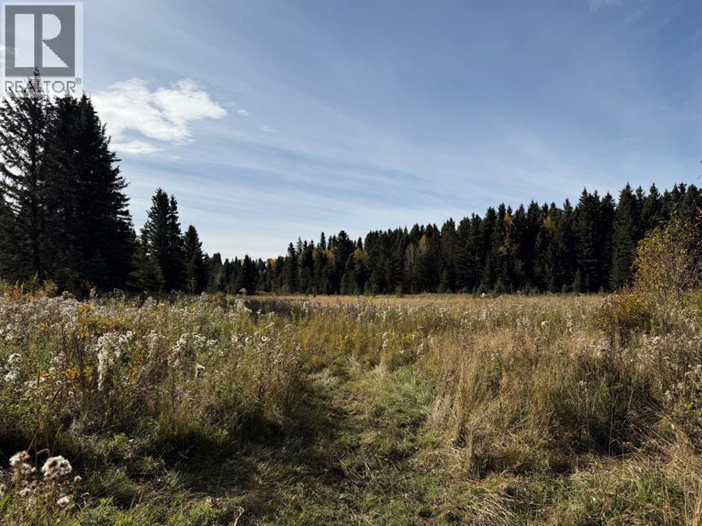 160 Acres Township Road 242, Rural Rocky View County, Alberta  T3Z 0B8 - Photo 10 - A2262660