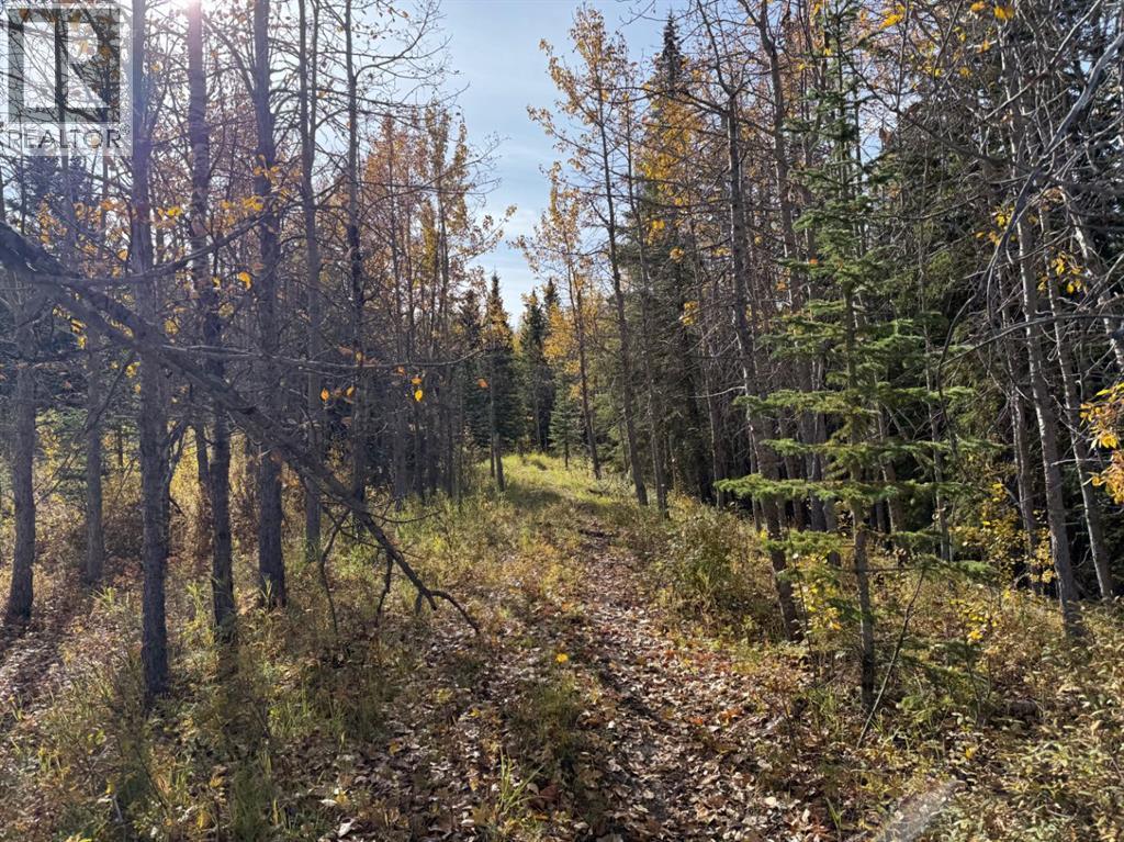 160 Acres Township Road 242, Rural Rocky View County, Alberta  T3Z 0B8 - Photo 9 - A2262660