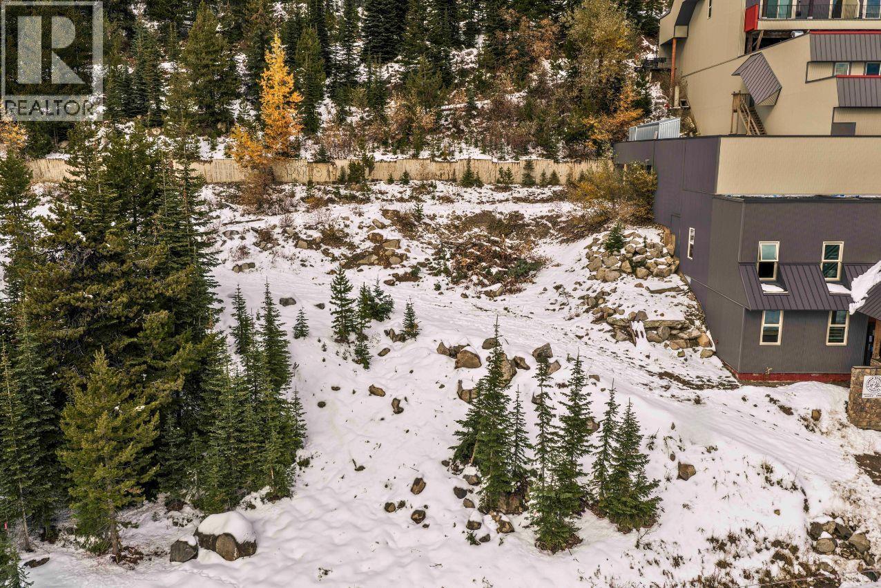 7450 Porcupine Road Big White Photo 9