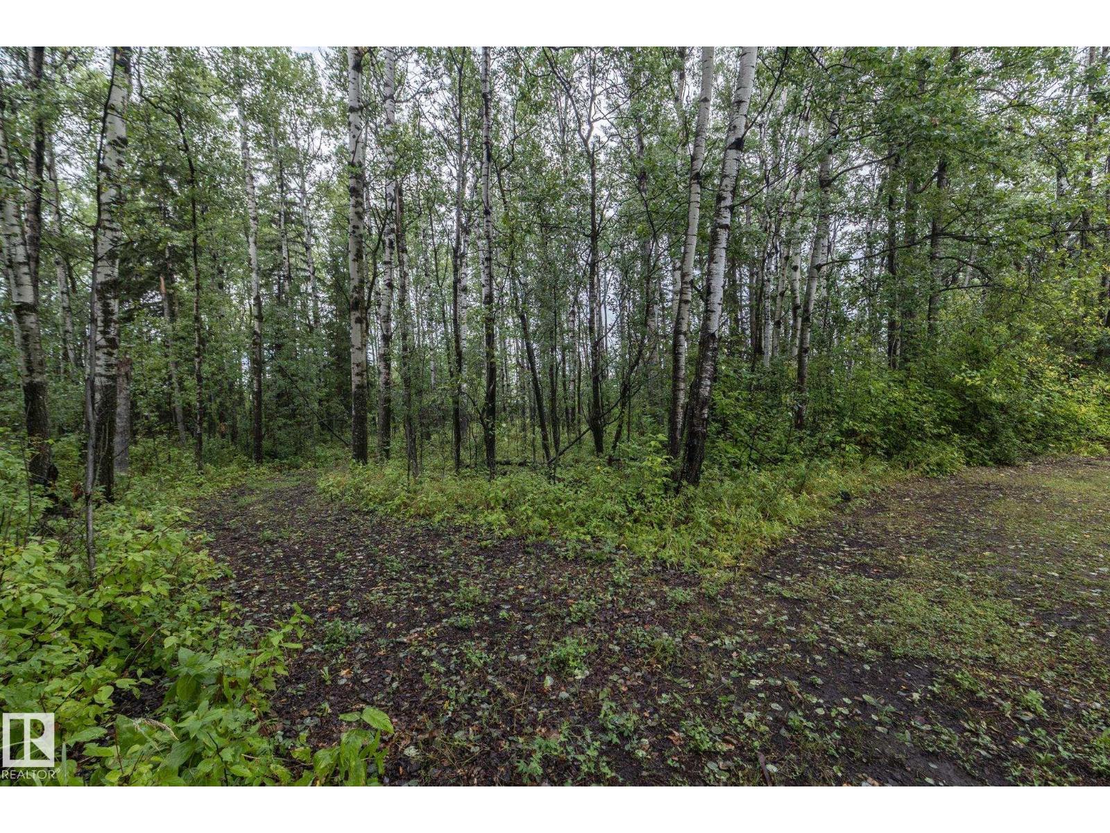 624060 661 Hi, Rural Woodlands County, Alberta  T0G 1A0 - Photo 48 - E4452346