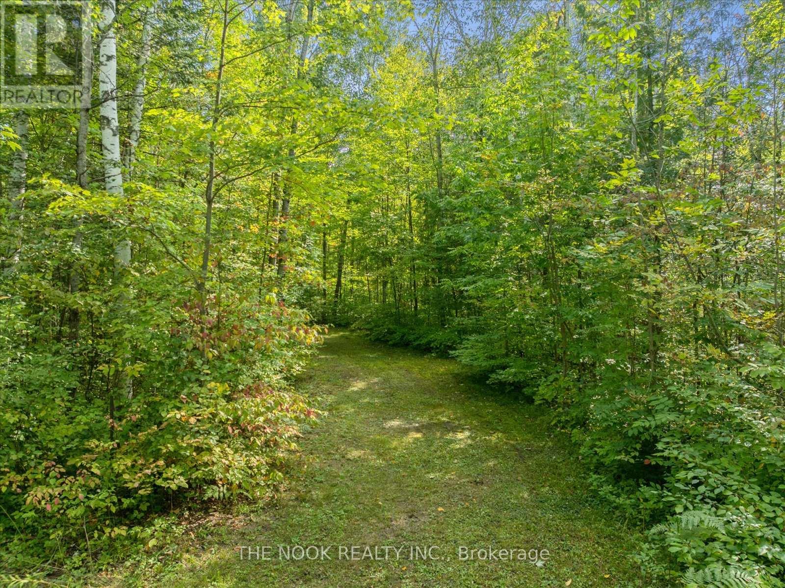 9525 Old Homestead Road, Georgina, Ontario L0E 1N0 - Photo 22 - N12487810