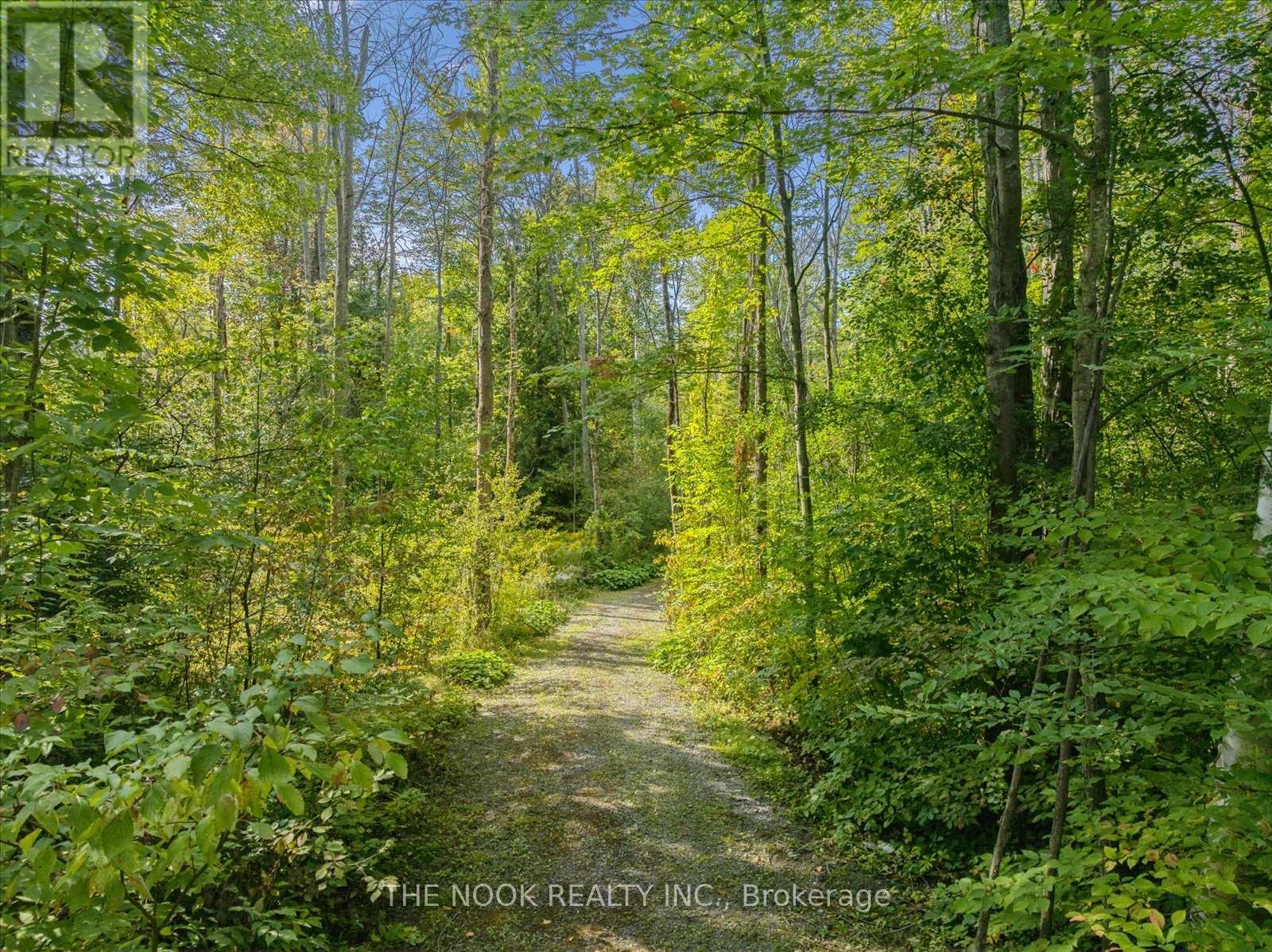 9525 Old Homestead Road, Georgina, Ontario L0E 1N0 - Photo 23 - N12487810