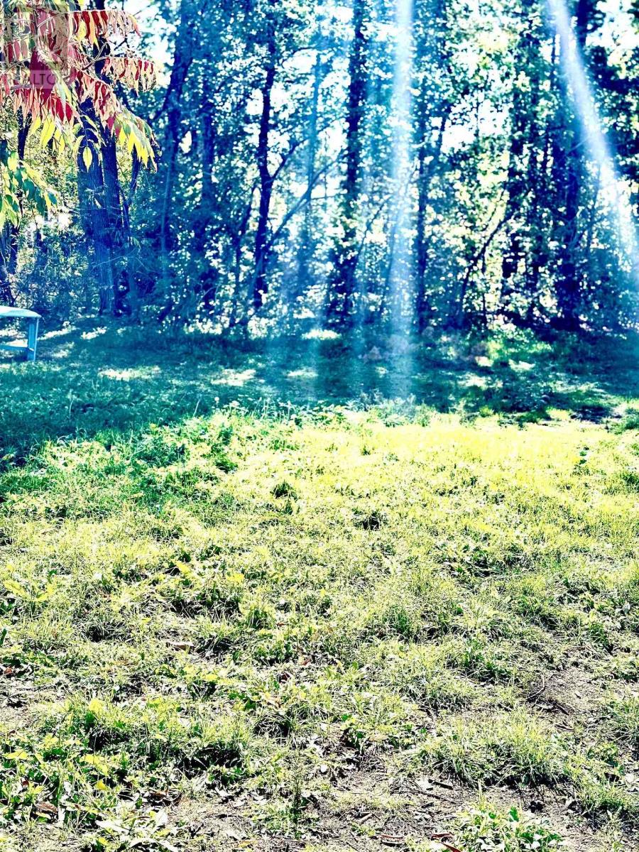 2 Oakwood Drive, Kawartha Lakes, Ontario K0M 1N0 - Photo 12 - X12458920