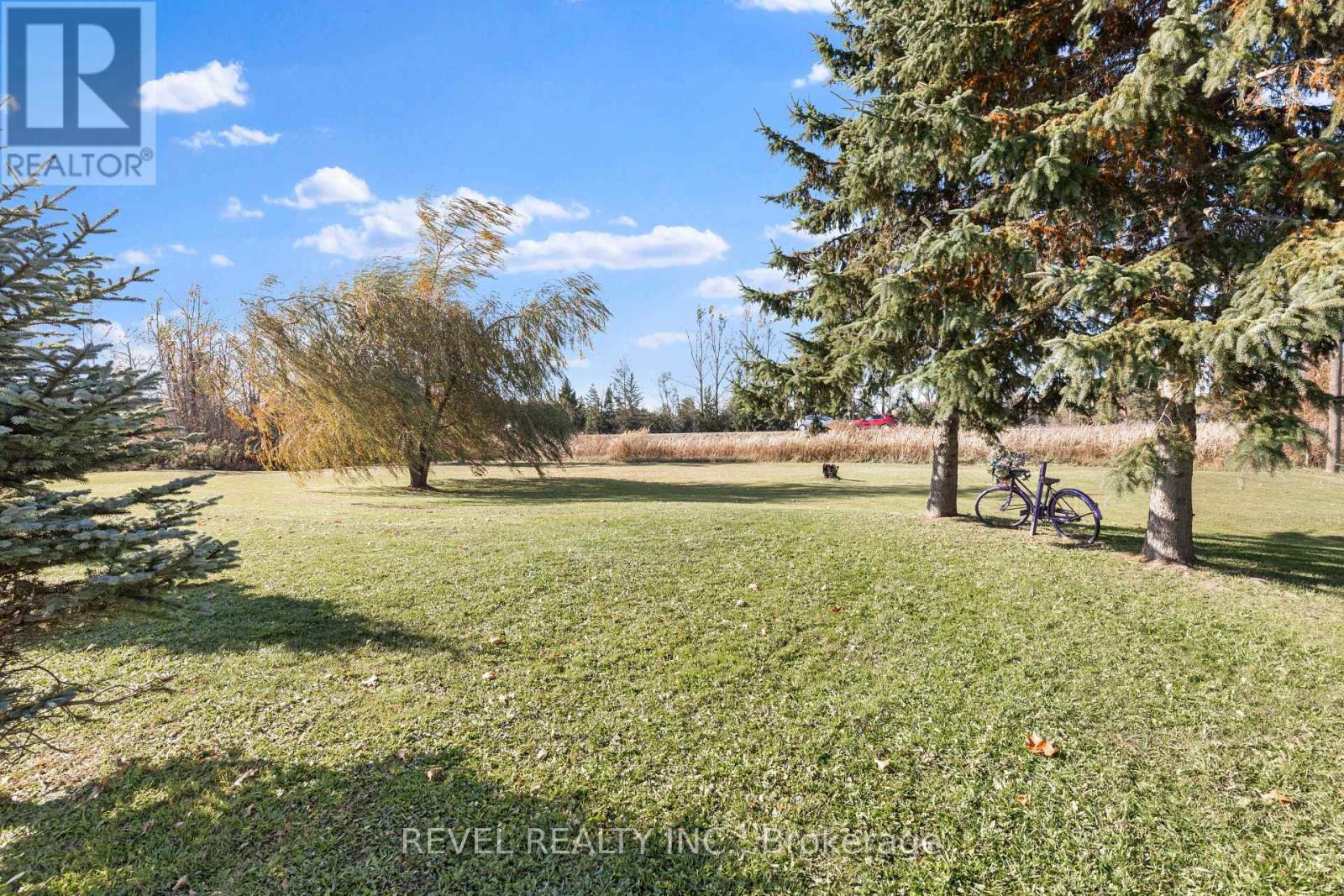 443 Tower Road, Kawartha Lakes, Ontario  K9V 4R4 - Photo 43 - X12487916