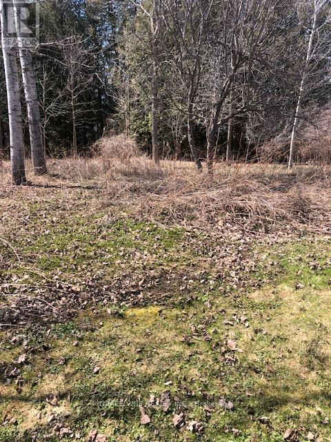 35a Cloverloft Court, Ottawa, Ontario  K2S 1T3 - Photo 4 - X12488452