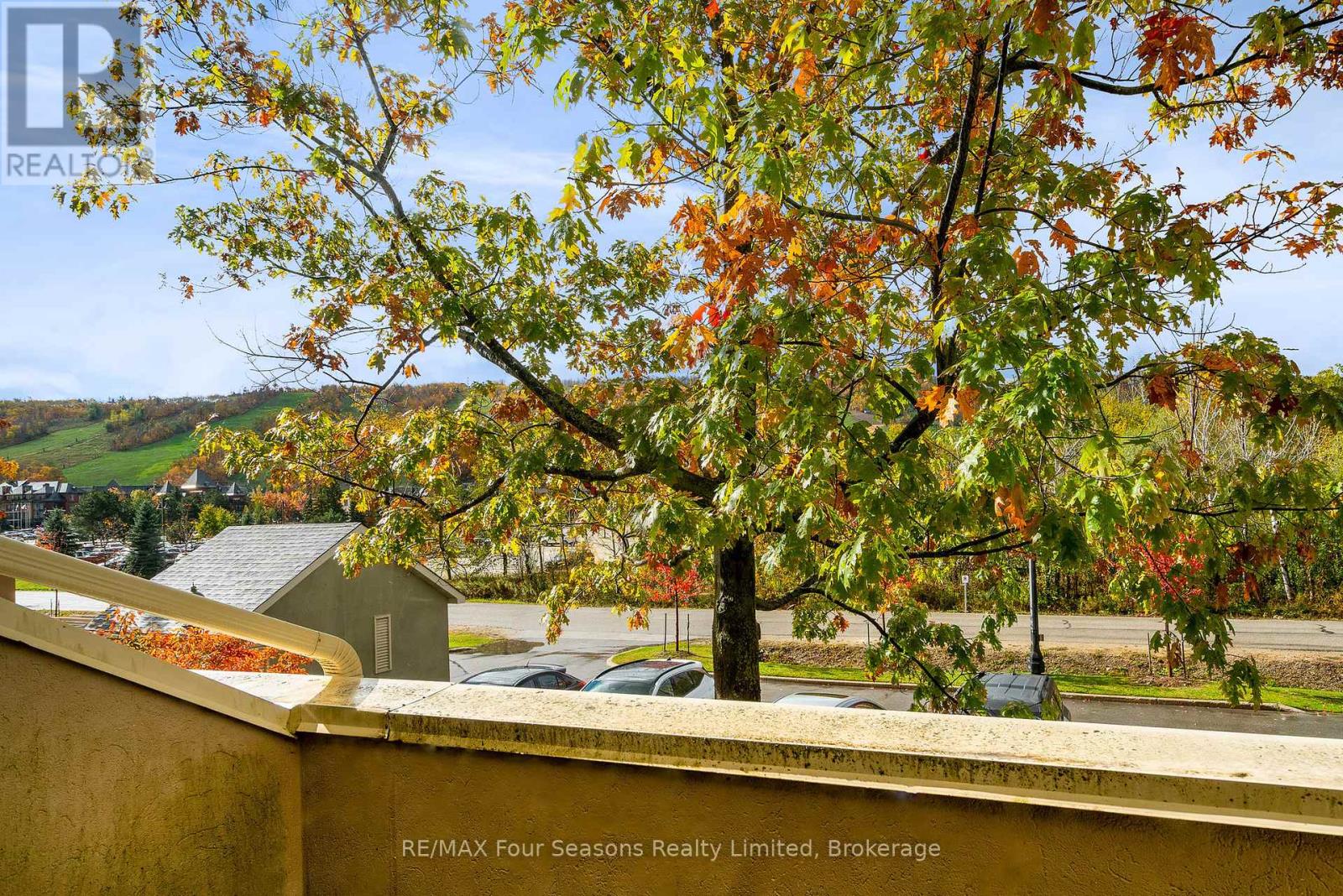 113 - 107 Wintergreen Place, Blue Mountains, Ontario  L9Y 0P8 - Photo 44 - X12488504