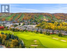 113 - 107 WINTERGREEN PLACE, blue mountains, Ontario