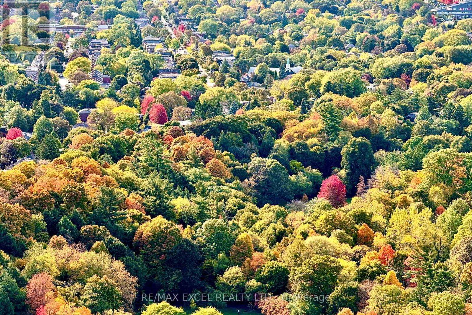 3409 - 30 Inn On The Park Drive, Toronto, Ontario  M3C 0P8 - Photo 4 - C12488658