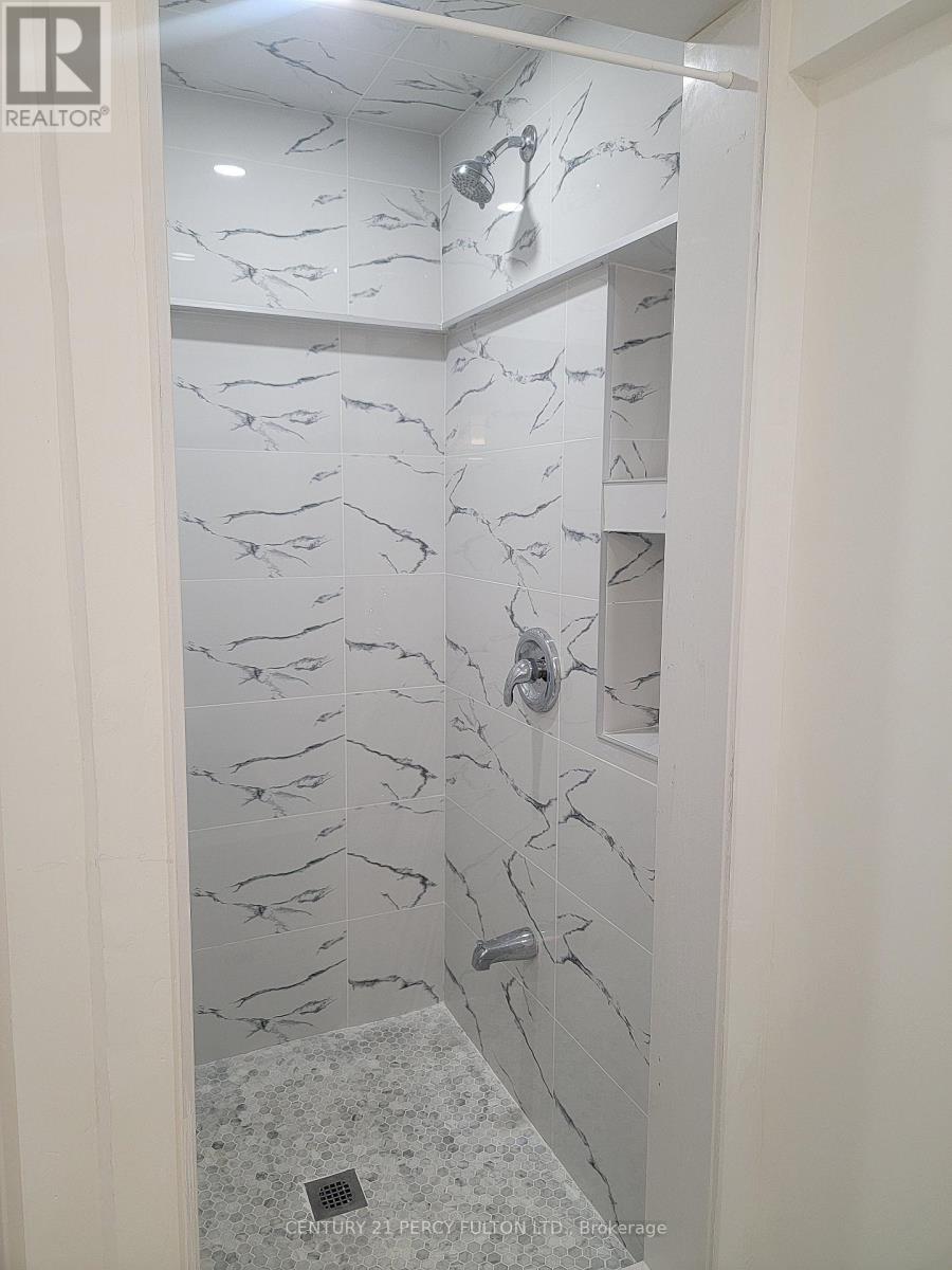 Bsmt - 120 Westfield Drive, Whitby, Ontario  L1P 0G1 - Photo 12 - E12487978