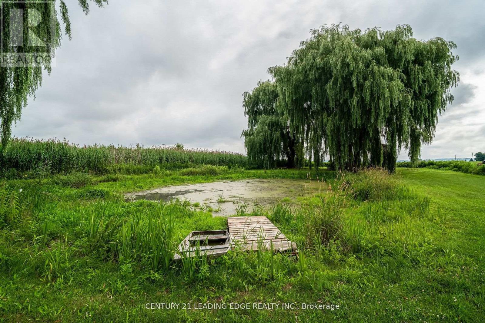 393 Canal Road, Bradford West Gwillimbury, Ontario  L3Z 2A6 - Photo 34 - N12487990