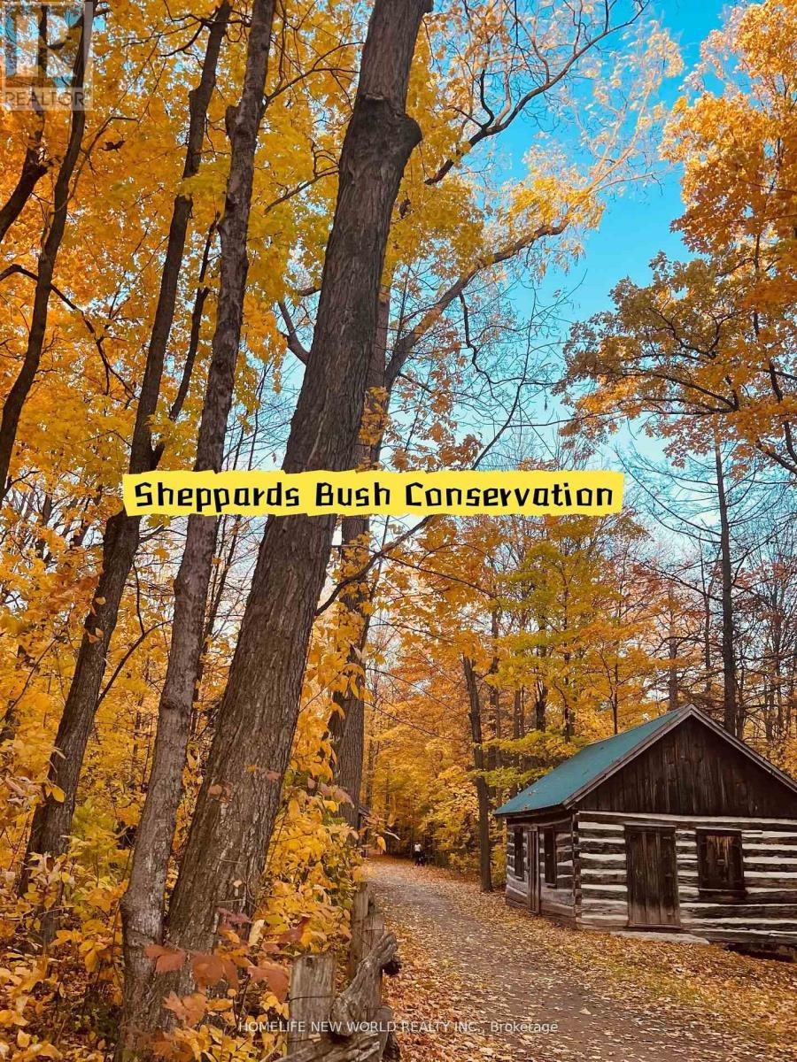 36 Strawbridge Farm Drive, Aurora, Ontario  L4G 0V3 - Photo 24 - N12488182