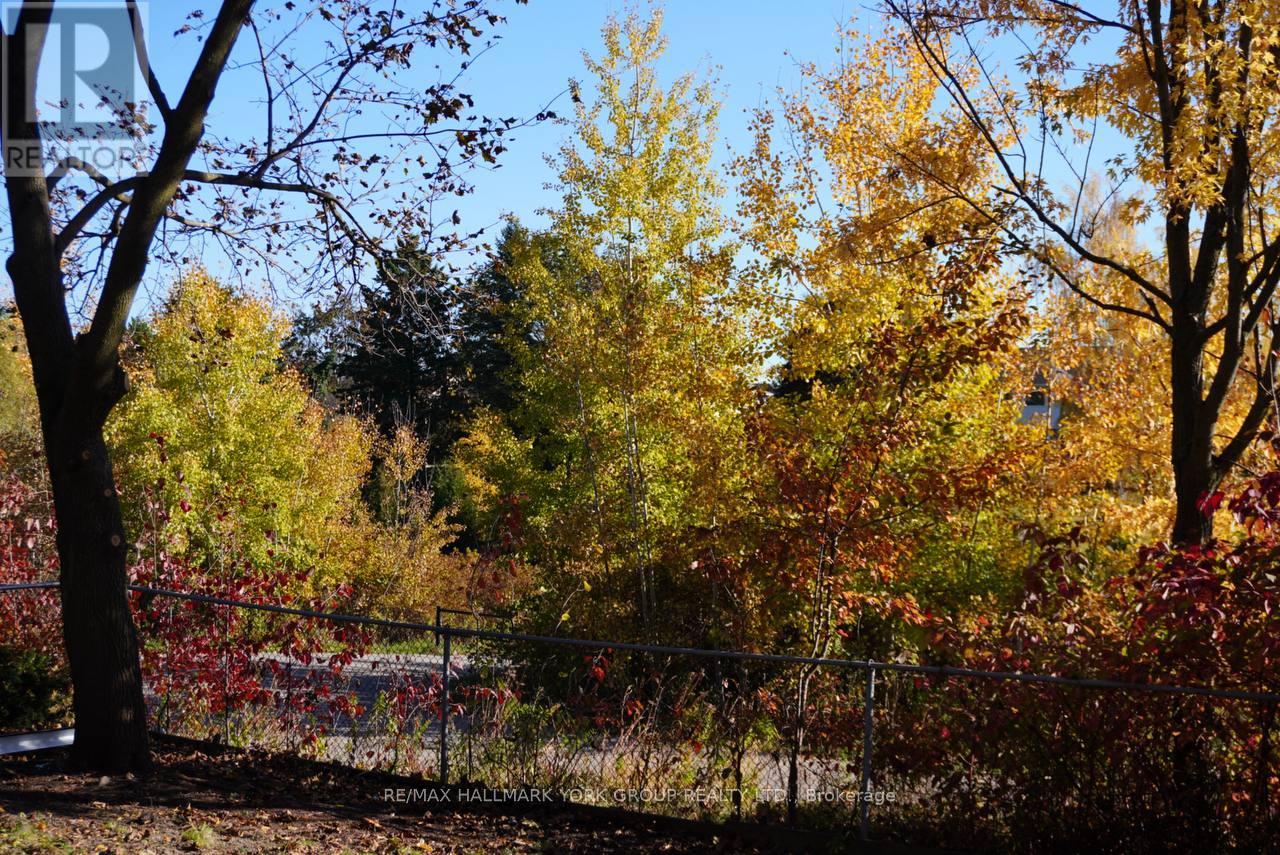 259 Glenway Circle S, Newmarket, Ontario  L3Y 7S8 - Photo 13 - N12488210