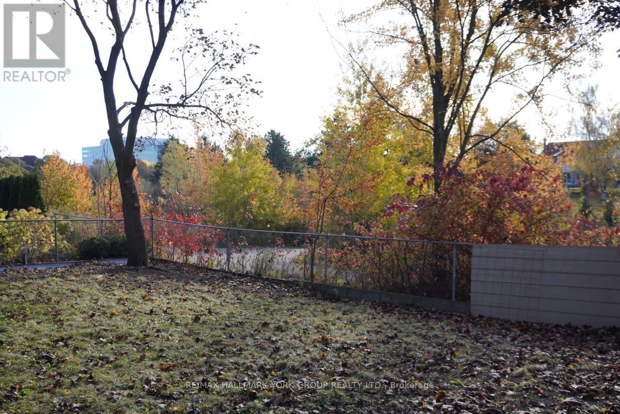 Basement - 259 Glenway Circle S, Newmarket, Ontario  L3Y 7S8 - Photo 14 - N12488394