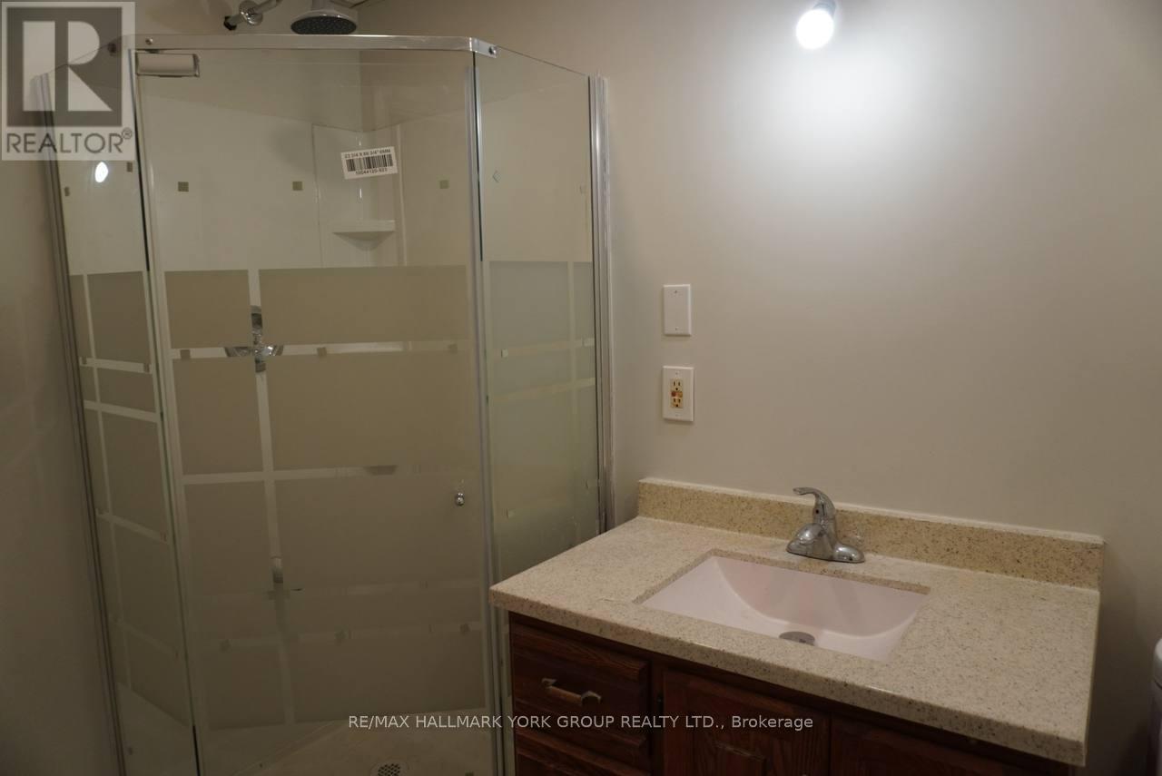 Basement - 259 Glenway Circle S, Newmarket, Ontario  L3Y 7S8 - Photo 8 - N12488394