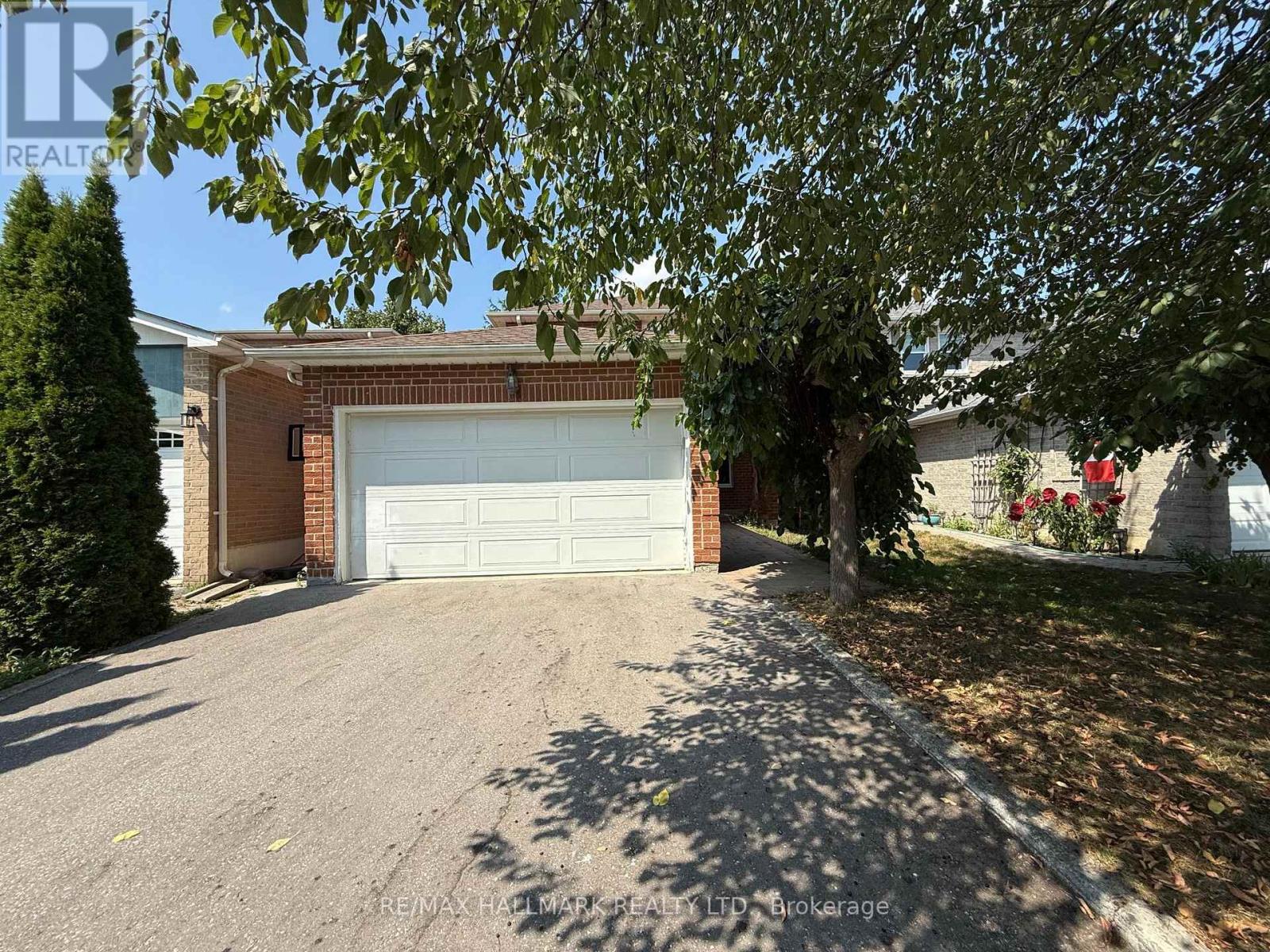 BASEMENT - 60 LUND STREET, Richmond Hill, Ontario