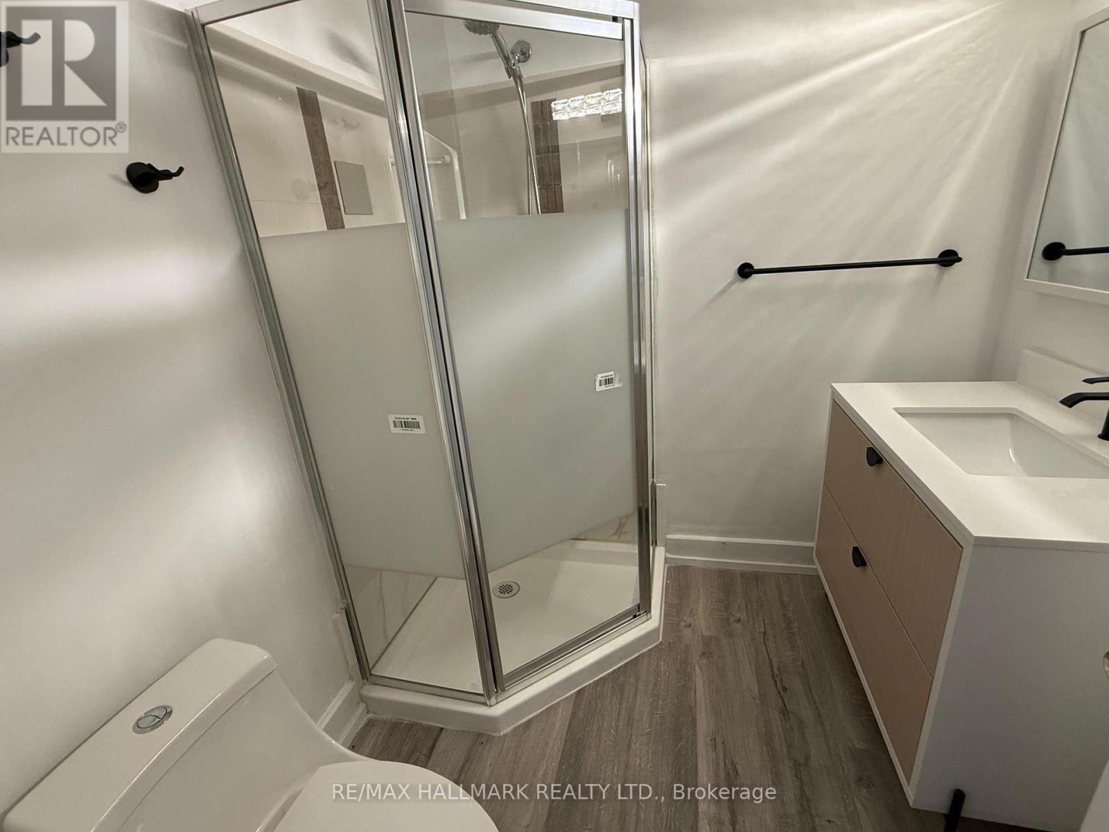 Basement - 60 Lund Street, Richmond Hill, Ontario  L4C 5V7 - Photo 9 - N12488490