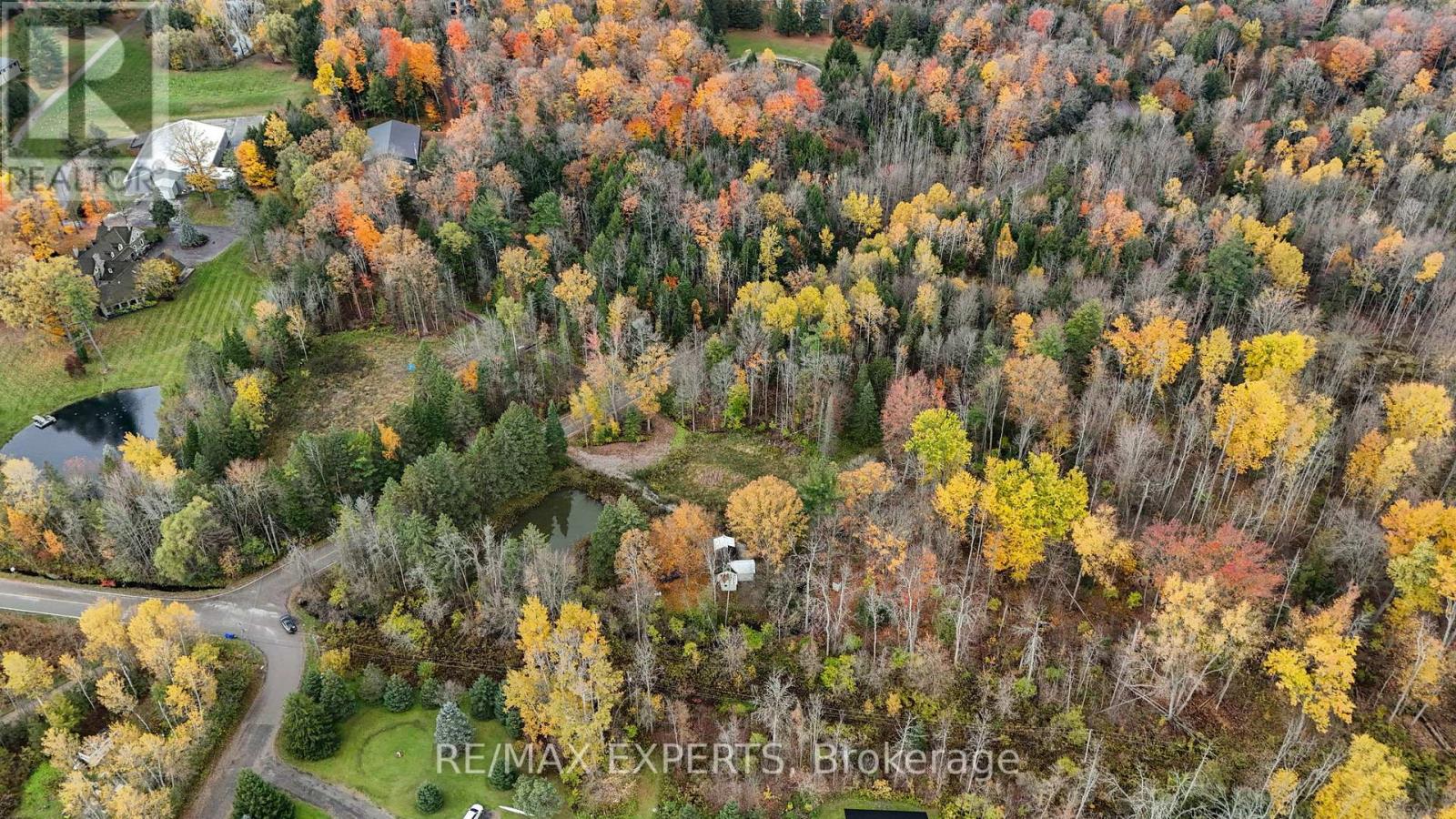 4530 19th Side Road, King (Pottageville), Ontario  L0G 1J0 - Photo 16 - N12488714