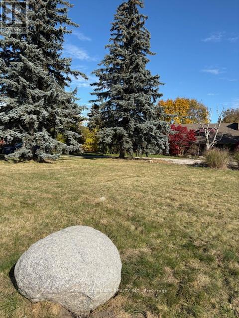 281 Barrie Street, Bradford West Gwillimbury (Bradford), Ontario  L3Z 2Z7 - Photo 7 - N12485426